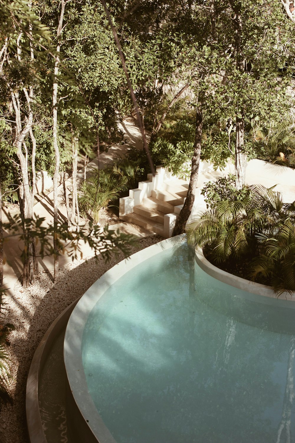 a pool with trees around it