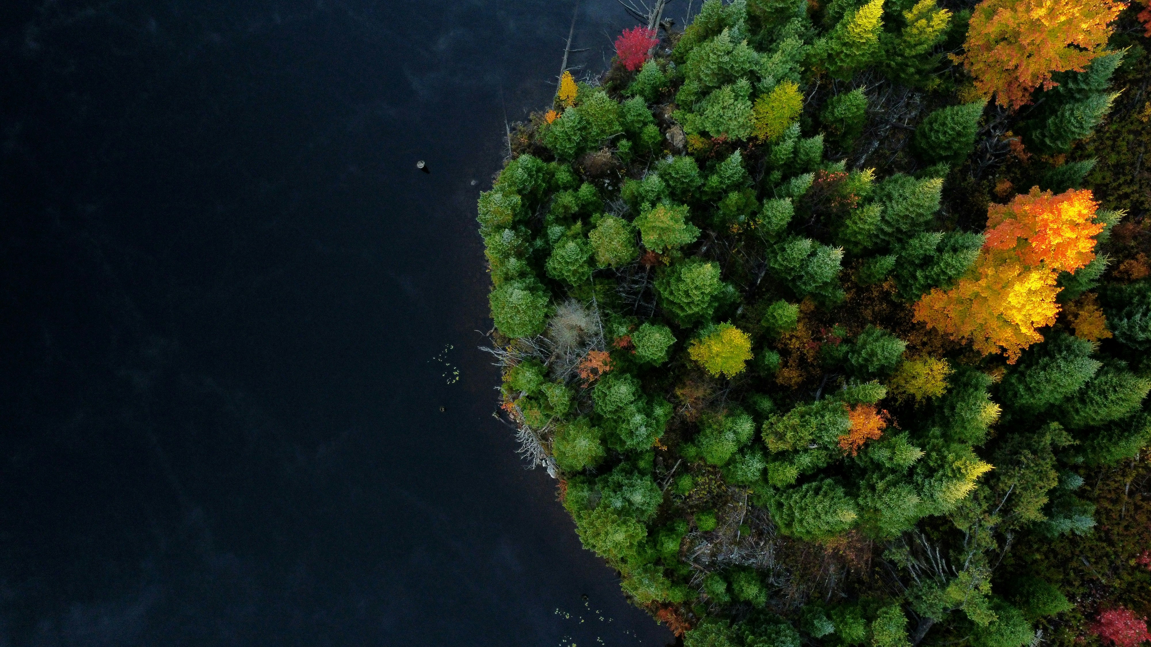 Photo by naturelensephotographer