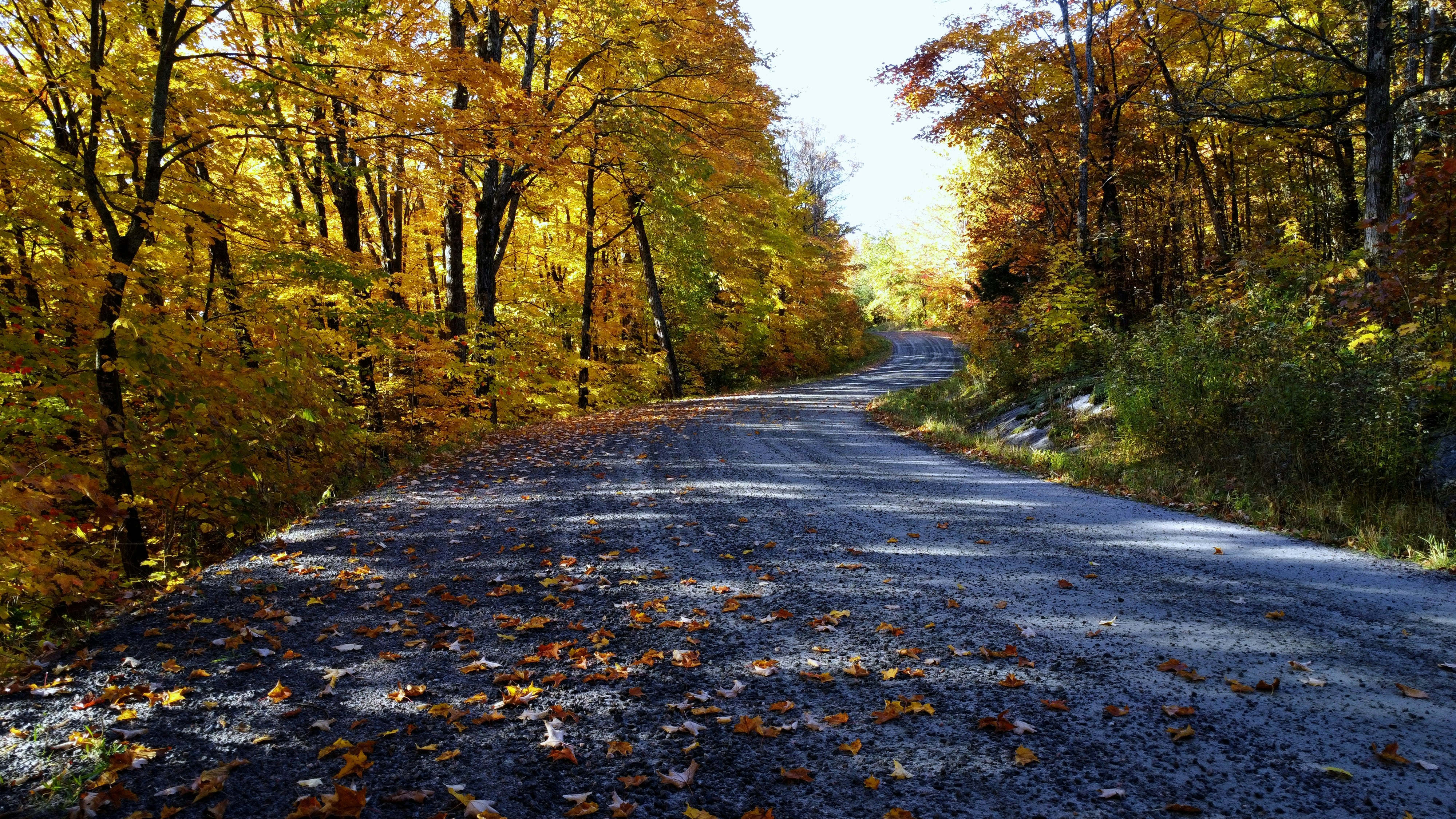 Photo by naturelensephotographer