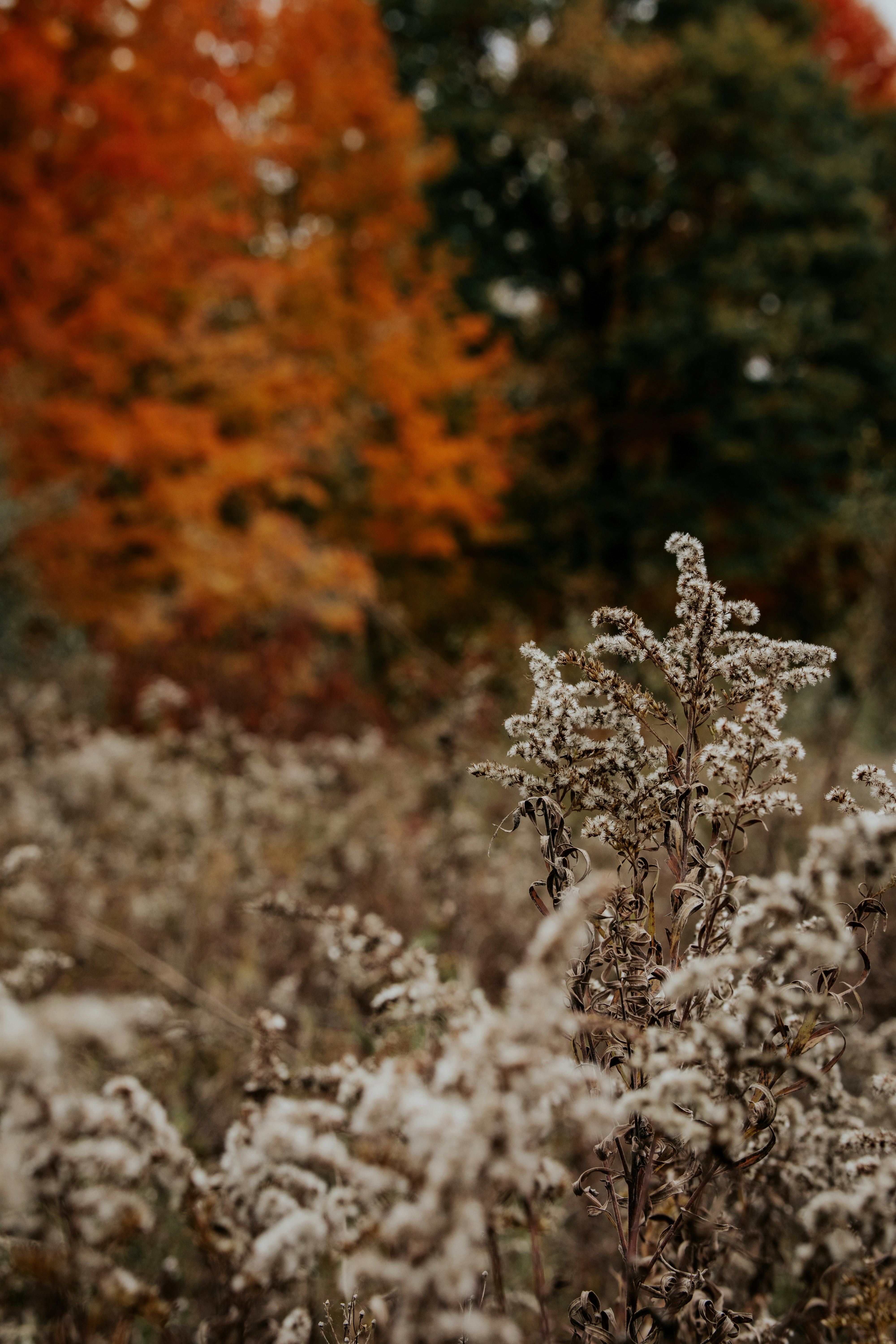 A close up of some snow photo – Free Lapeer Image on Unsplash