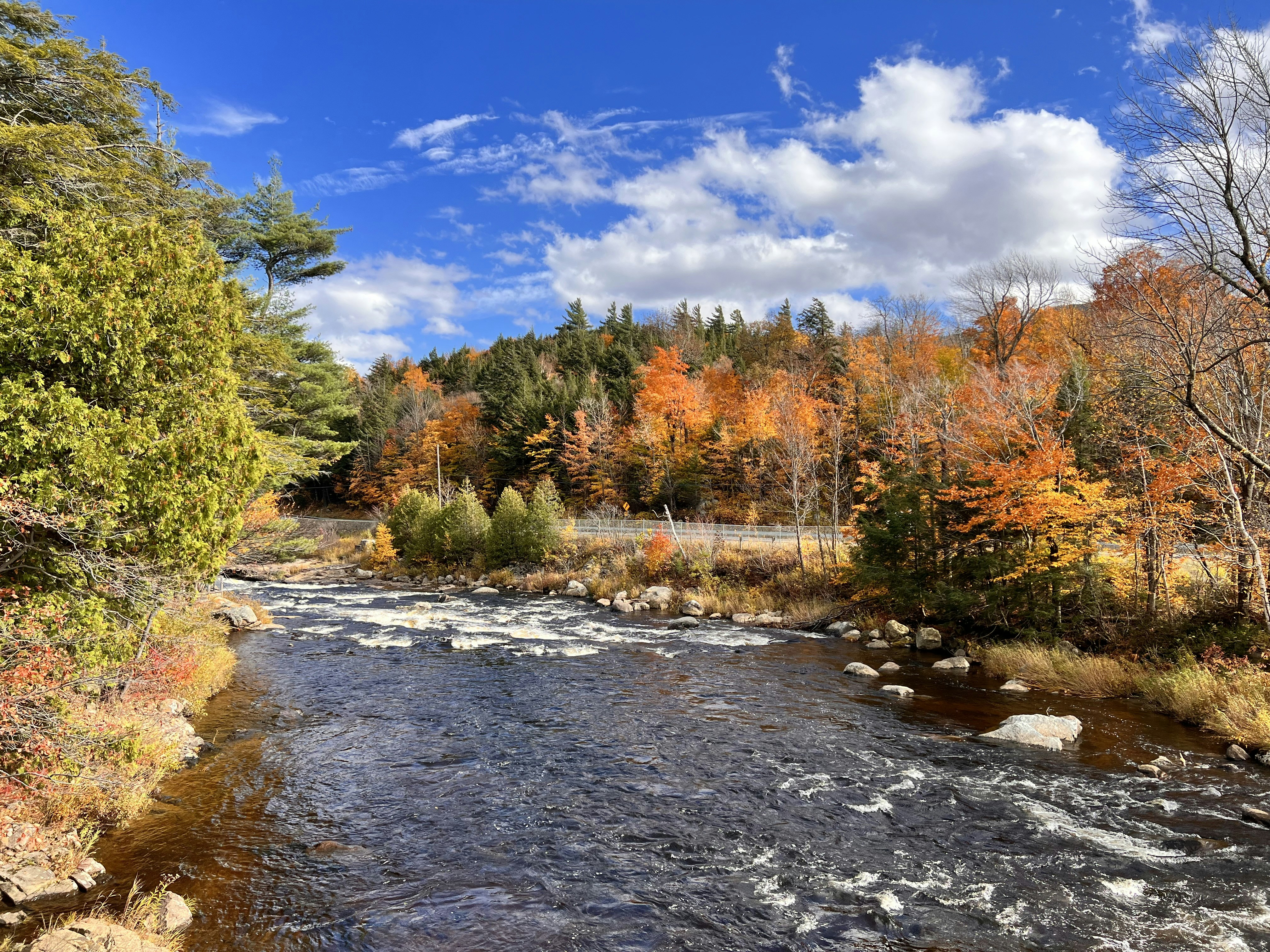 Photo by surajgattani