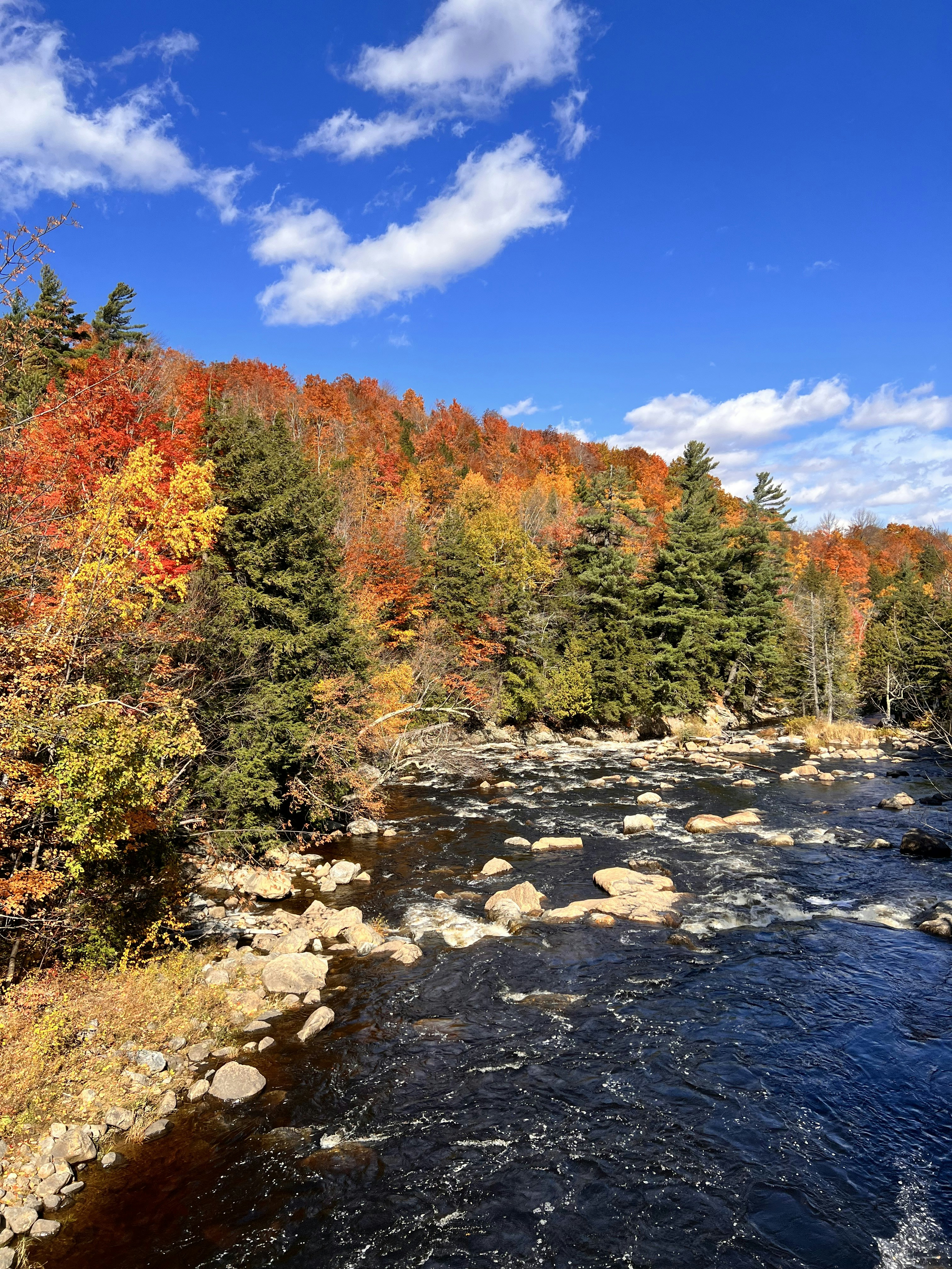 Photo by surajgattani