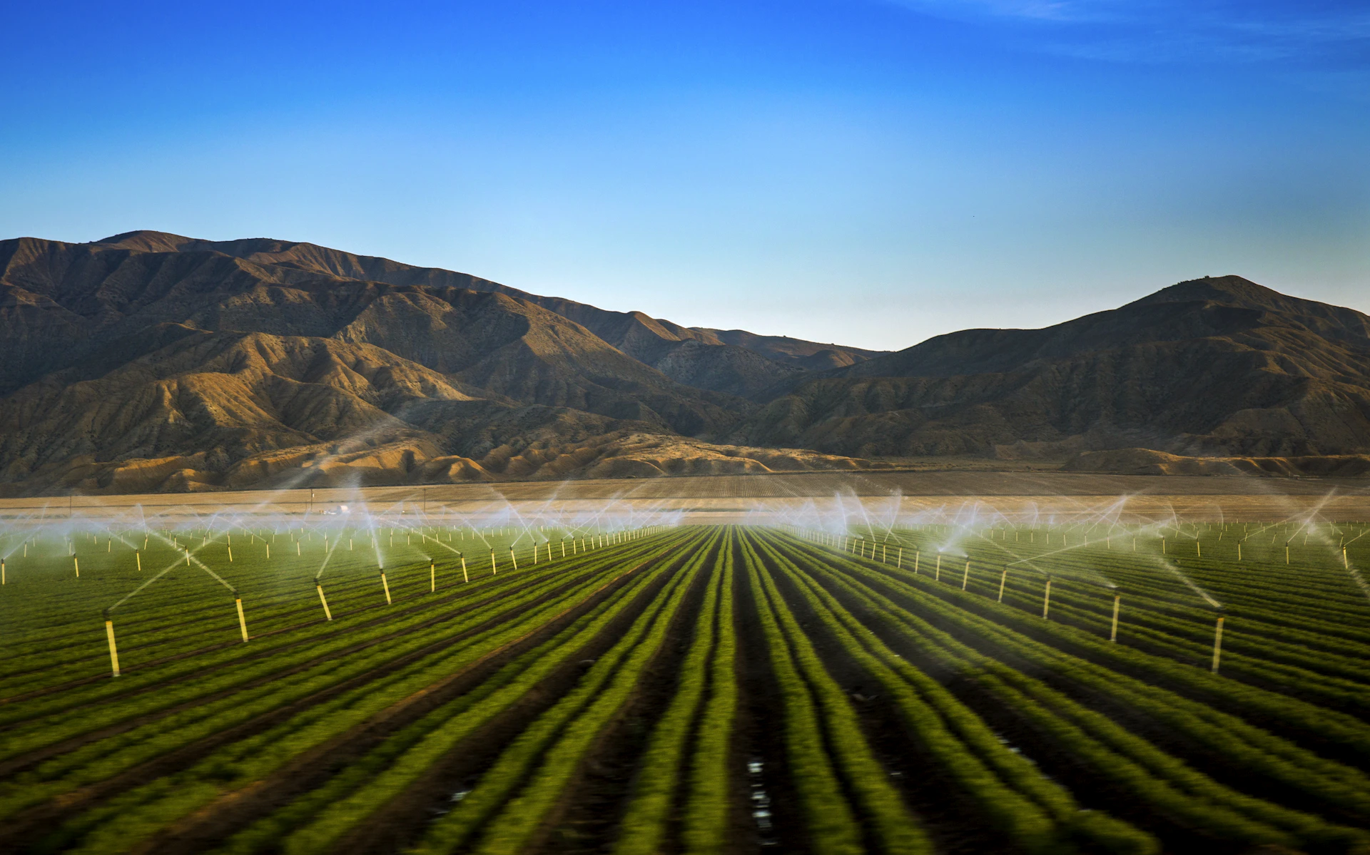 a field of green grass with mountains in the background with Mount Bromo in the background