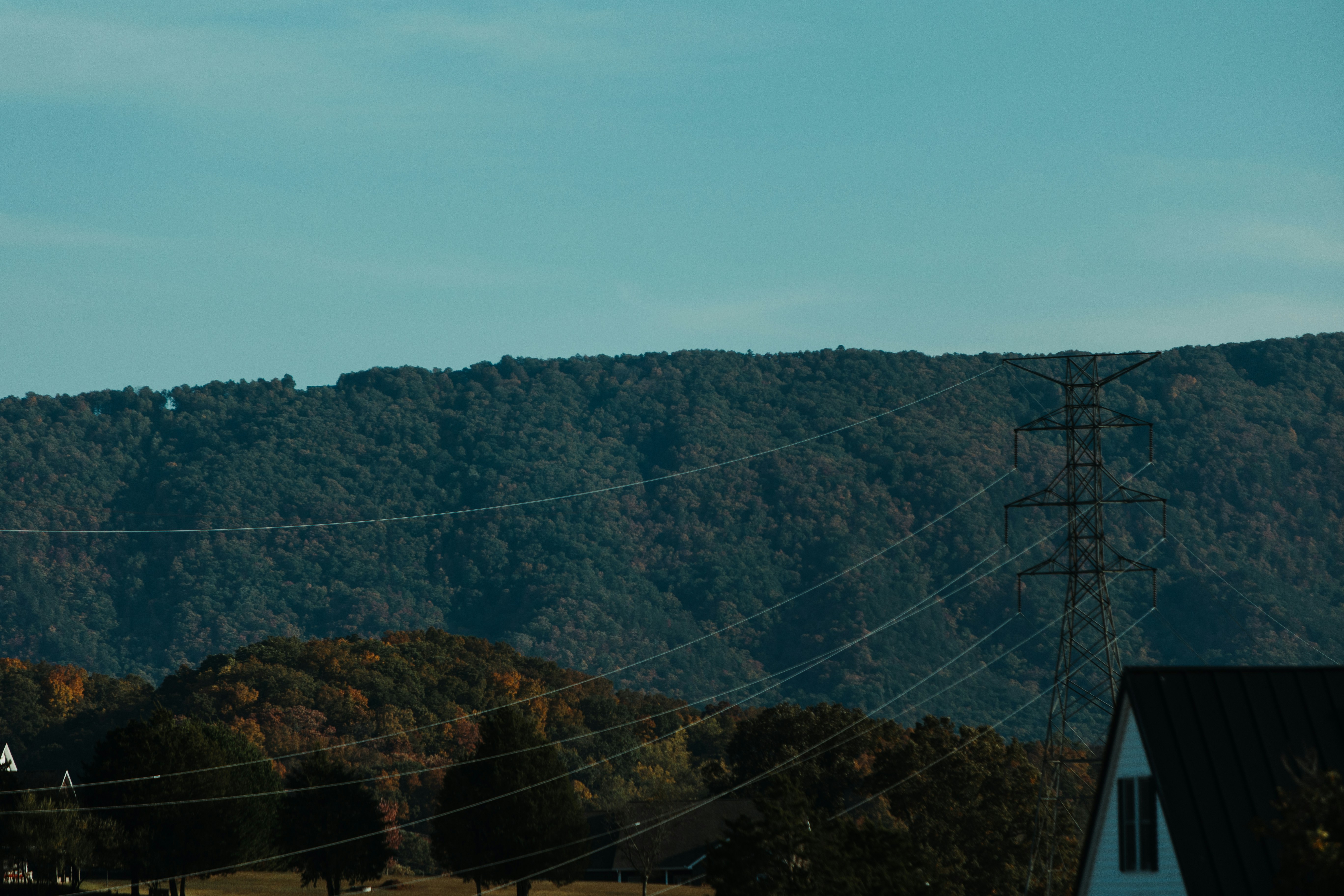 Photo by andrew_creative