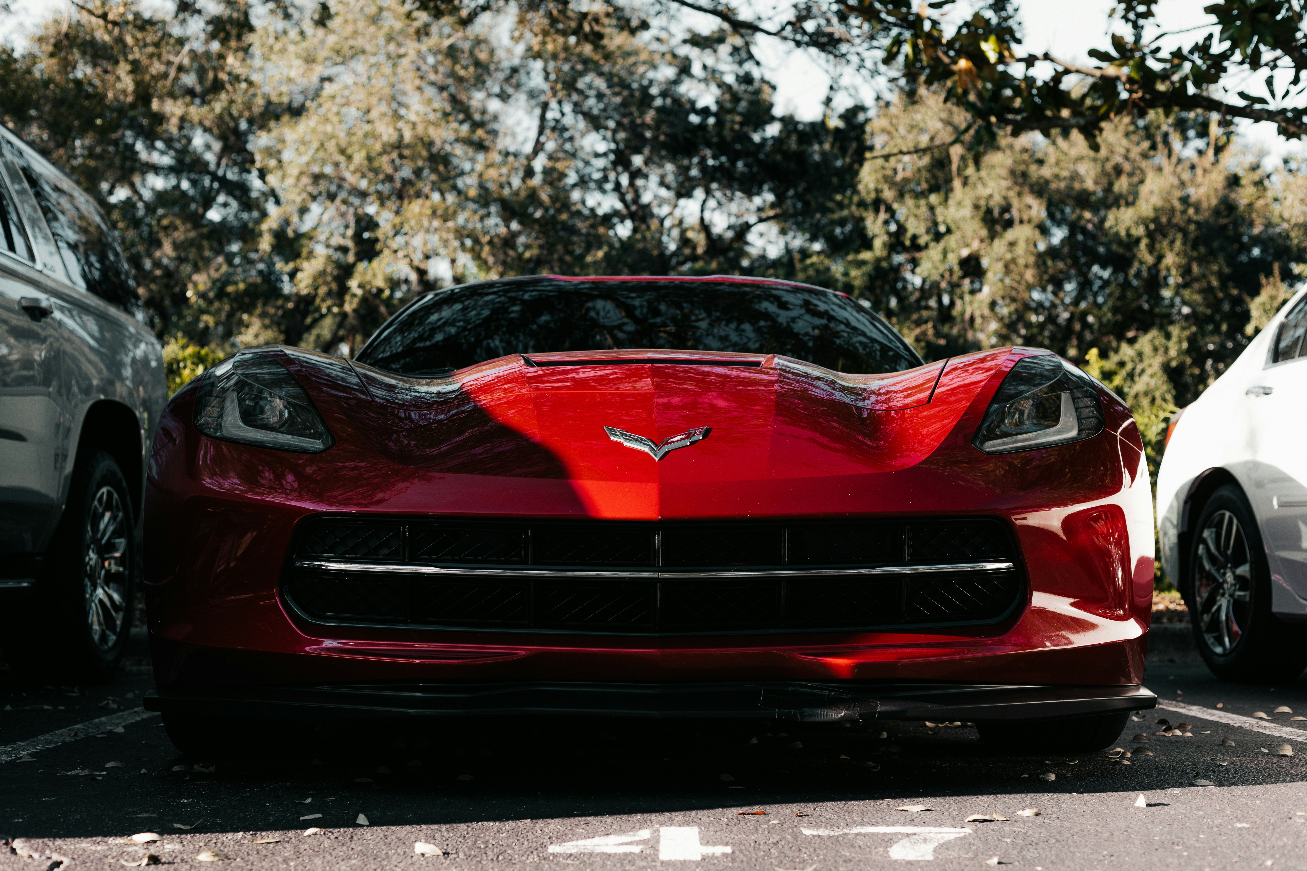 Photo by andrew_creative