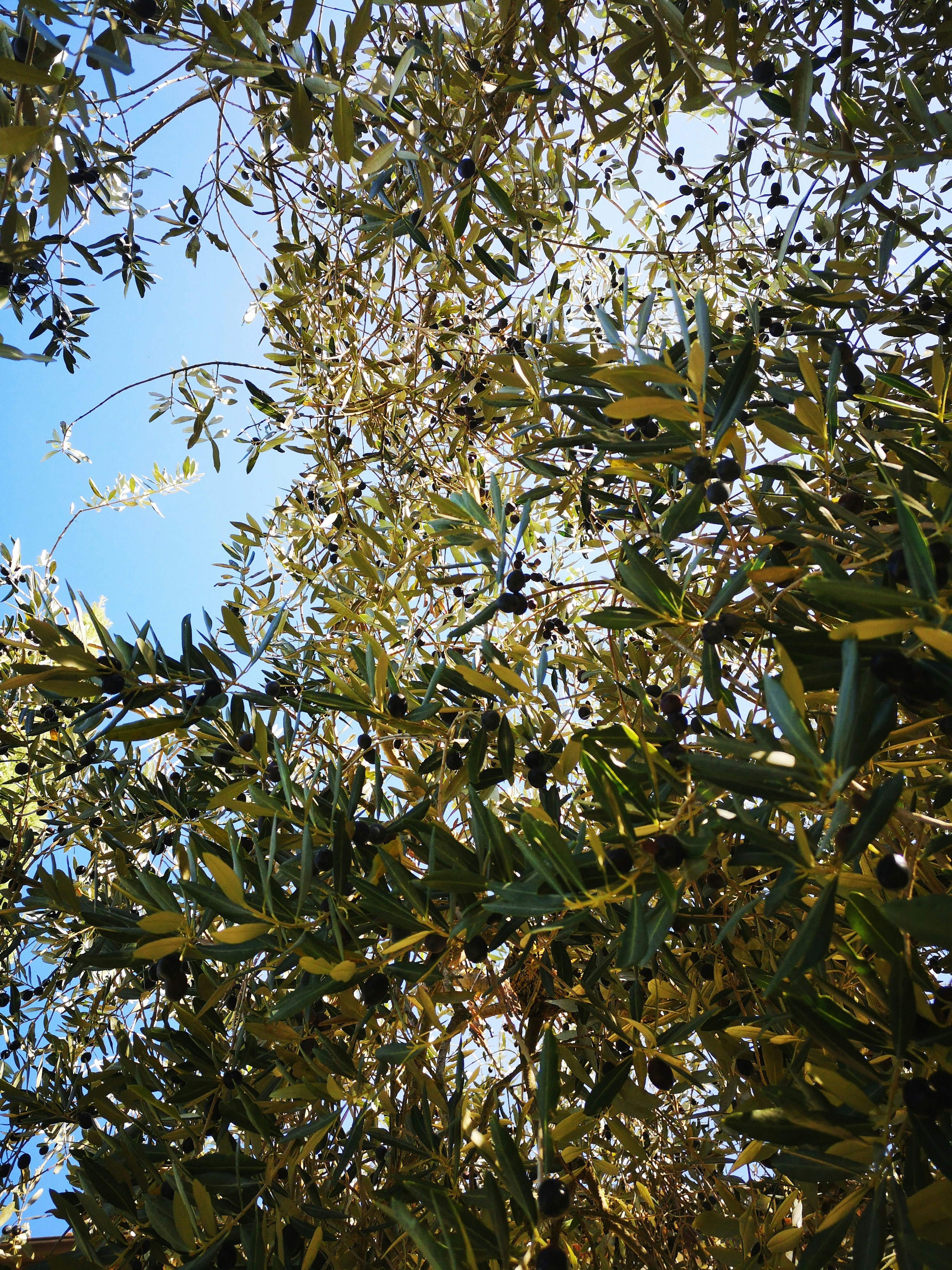 Photo by quasichiara