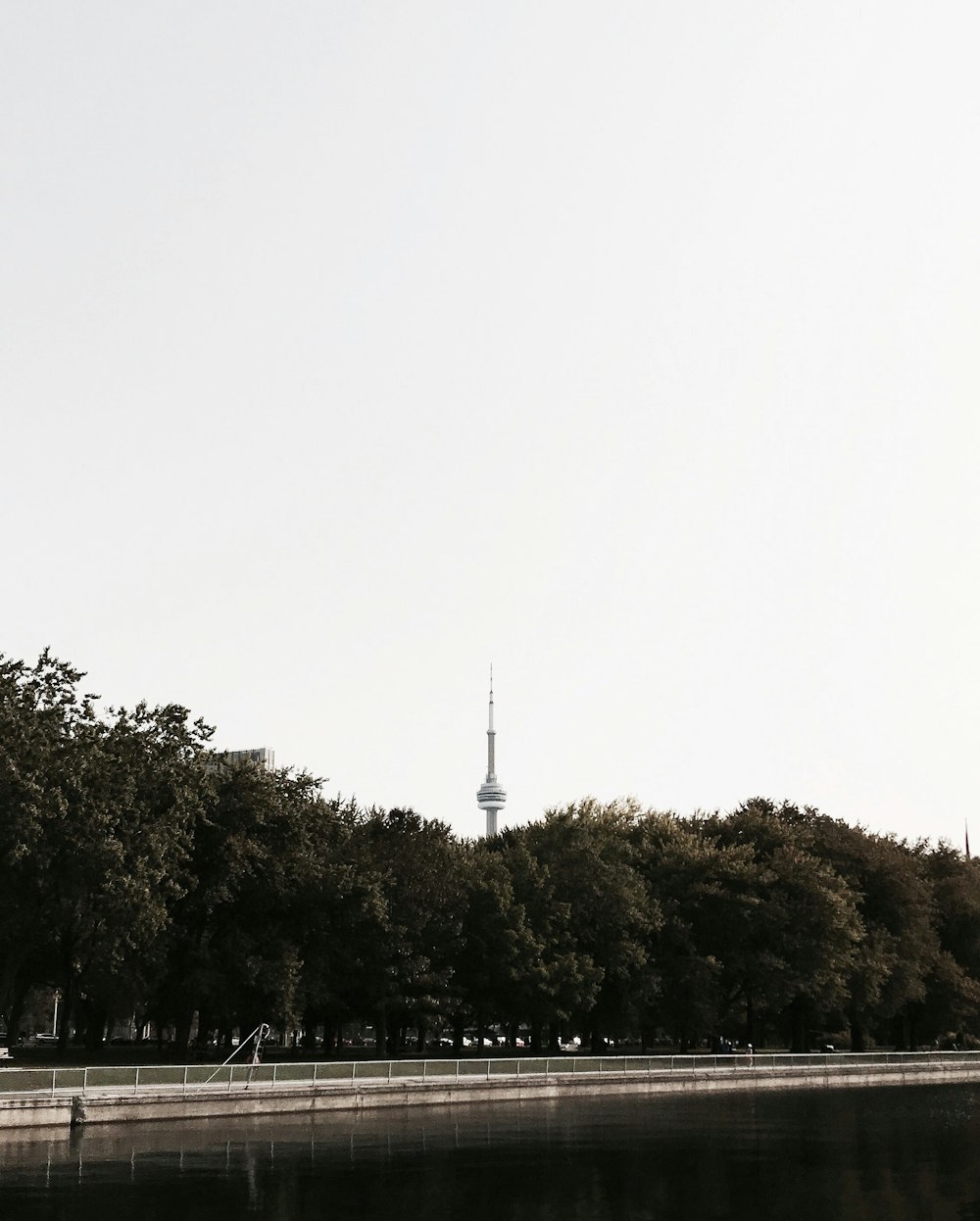 a tall tower behind trees