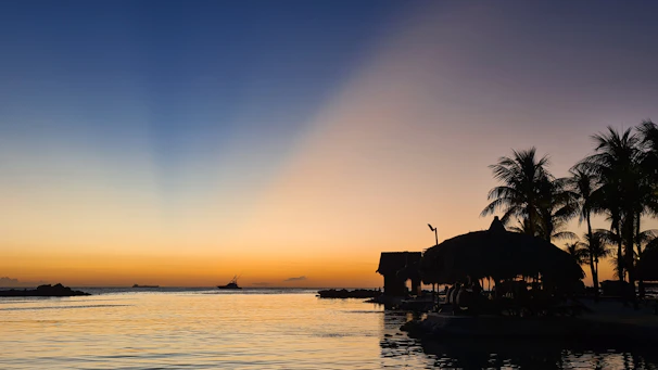 A sleek, borderless video player showing a vibrant sunset over a tropical beach