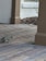 A small rodent is seen on a paved surface surrounded by architectural elements, including columns and a beige wall. In the background, there is a landscaped area with mulch and sparse vegetation.