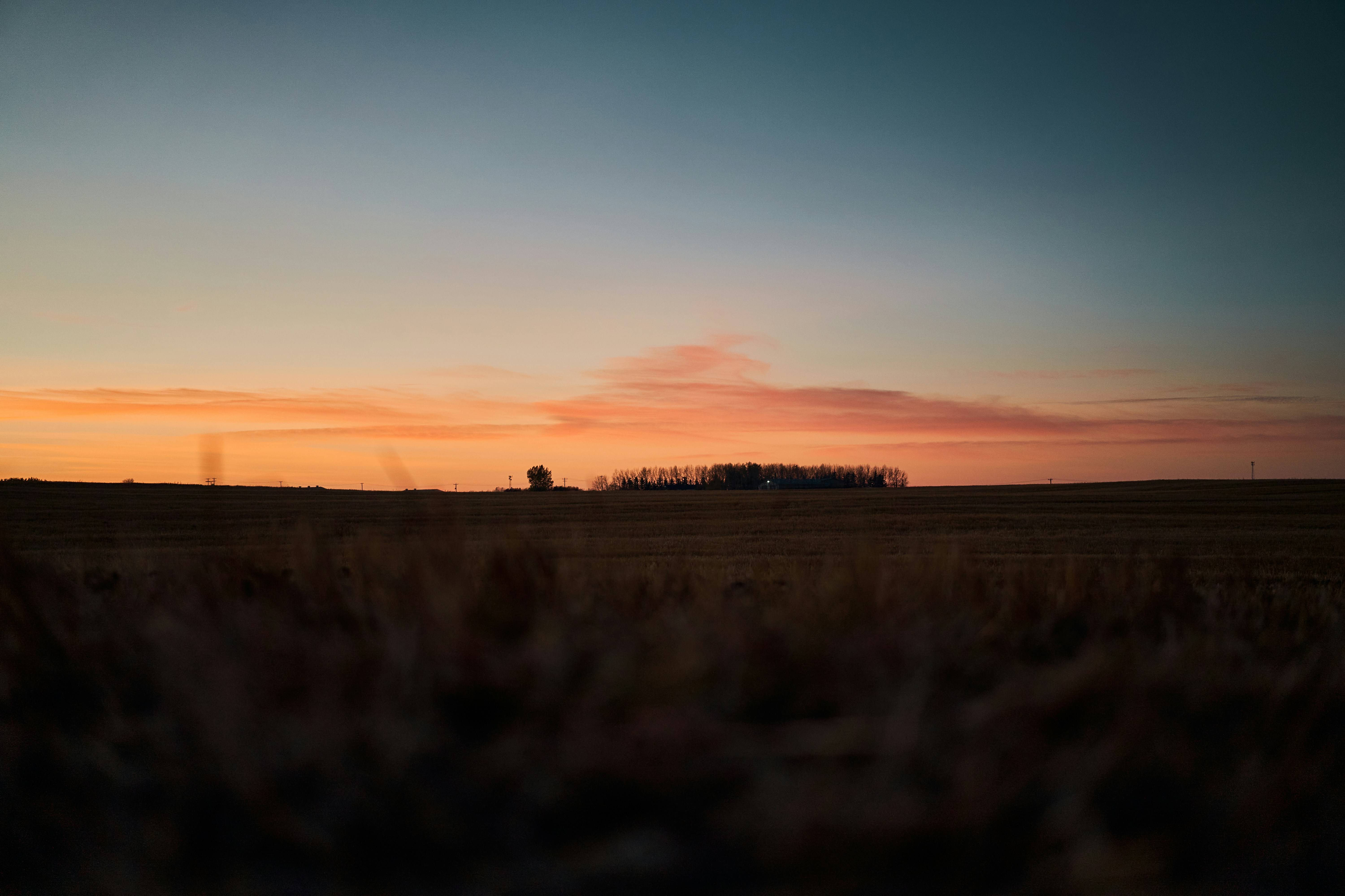 Photo by suicide_chewbacca