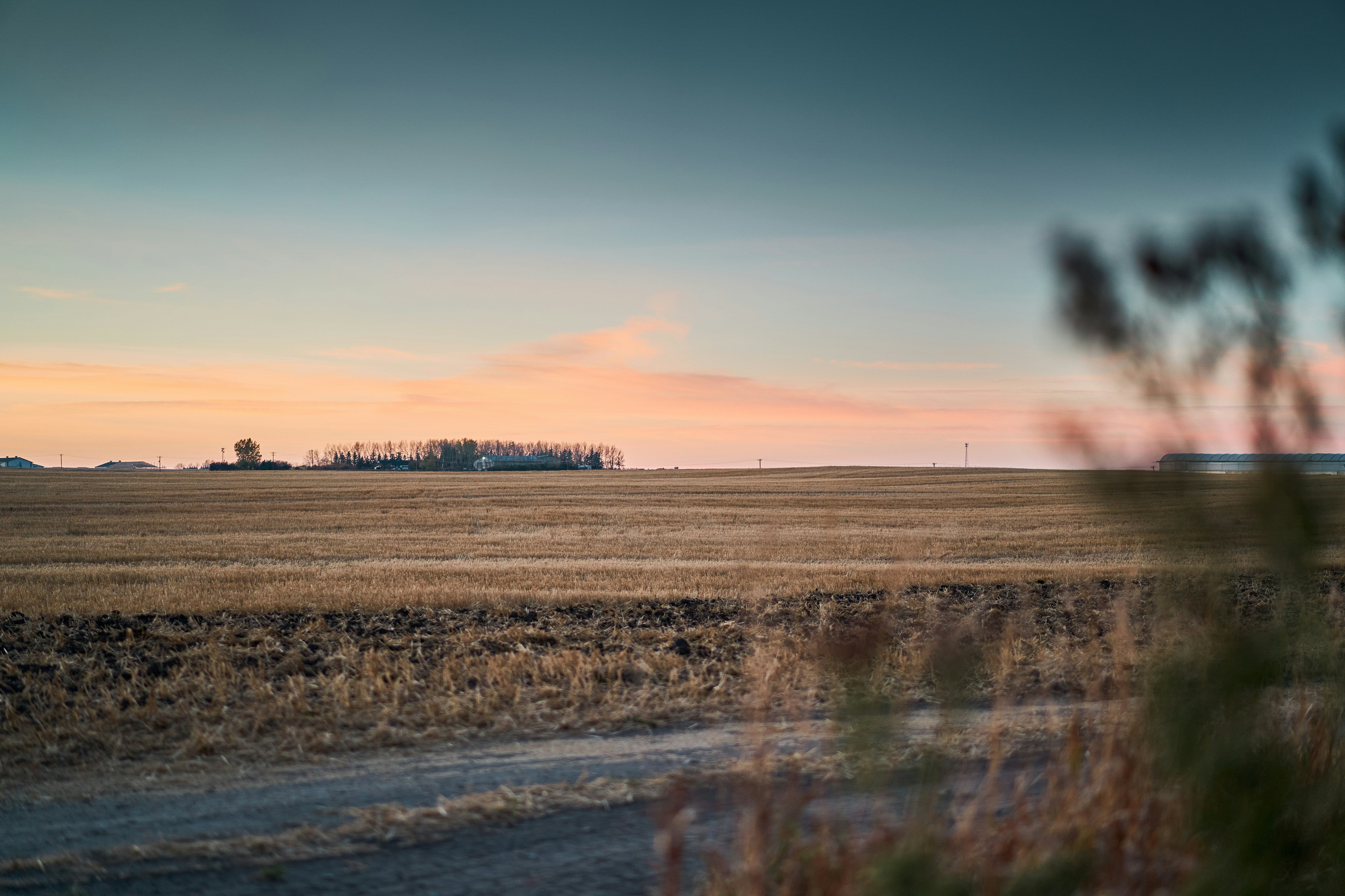 Photo by suicide_chewbacca