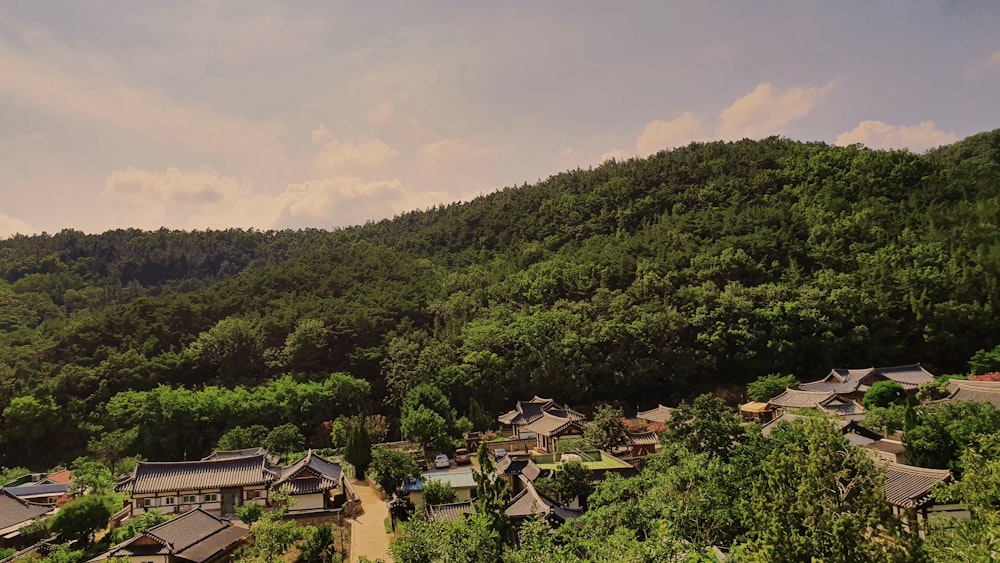a hillside with trees and houses