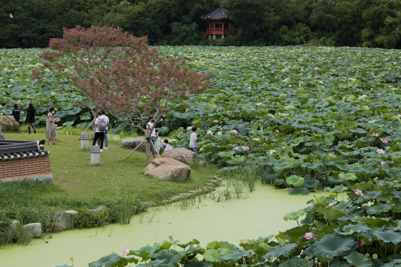 Best Eco-Friendly Resorts and Sustainable Stays in Jeonju