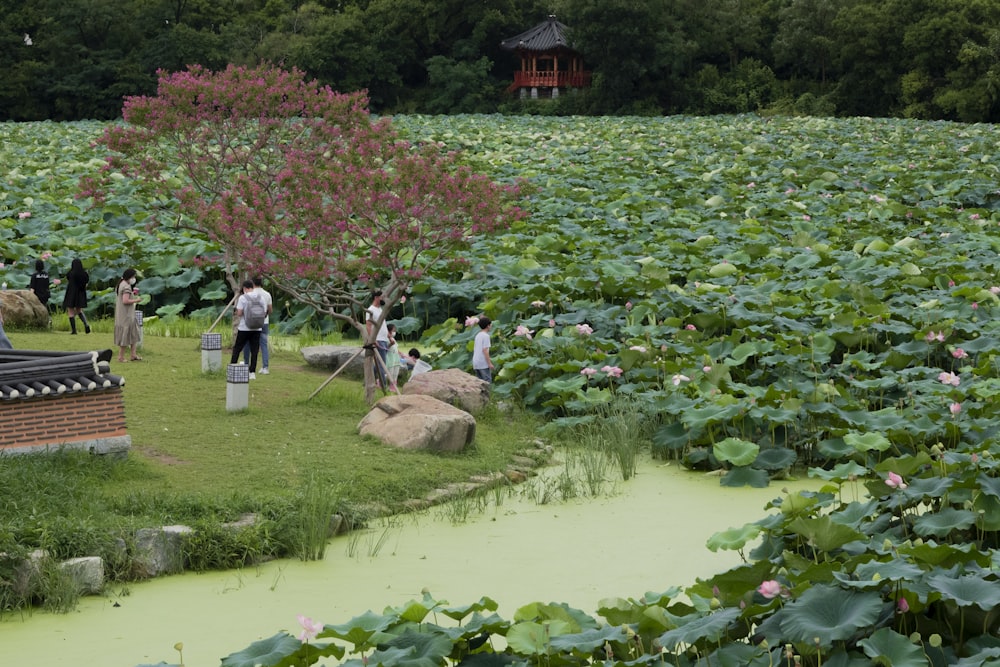 a group of people in a garden