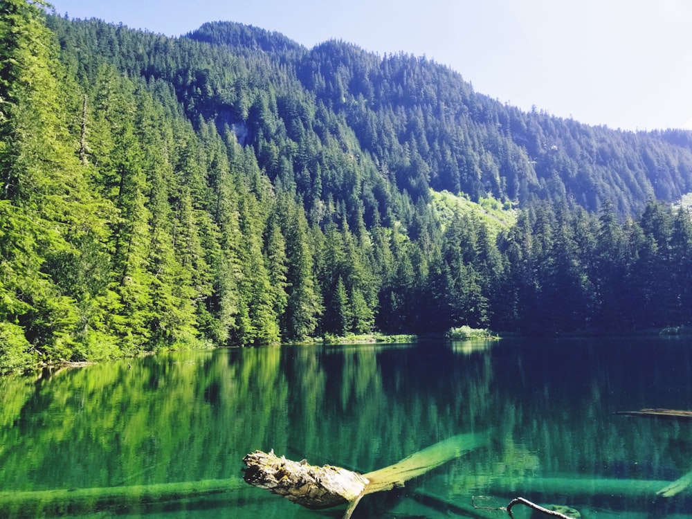 a lake with trees and mountains in the background