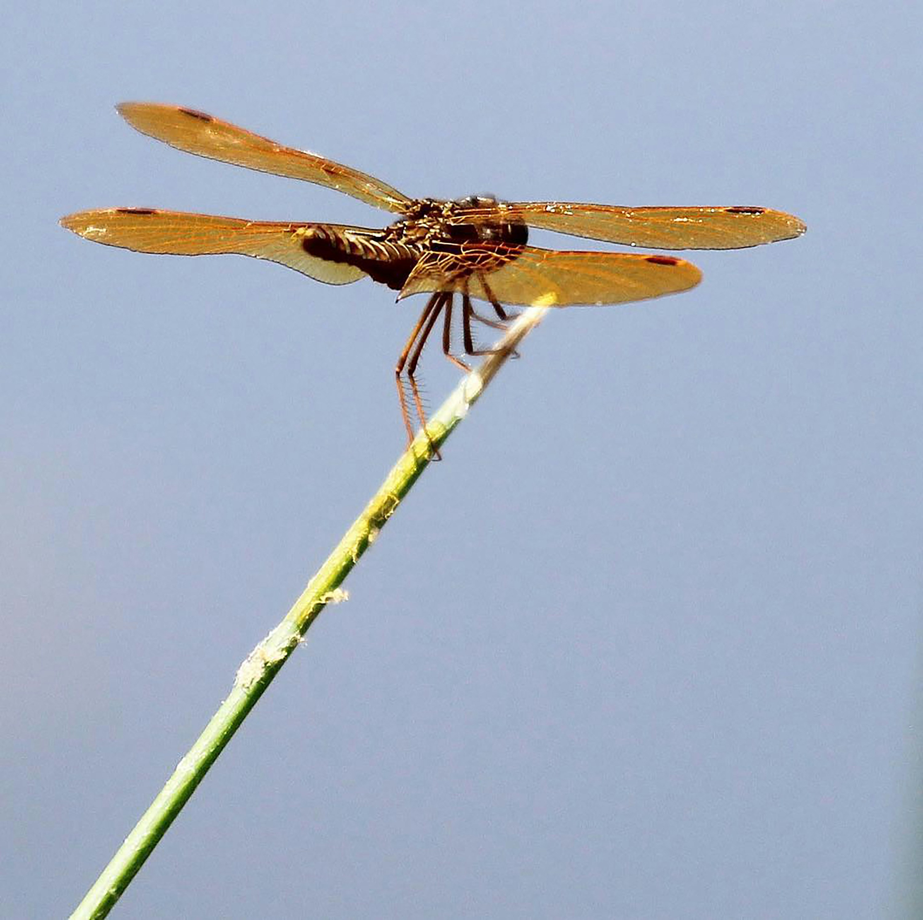 Photo by jaredwoodphotography