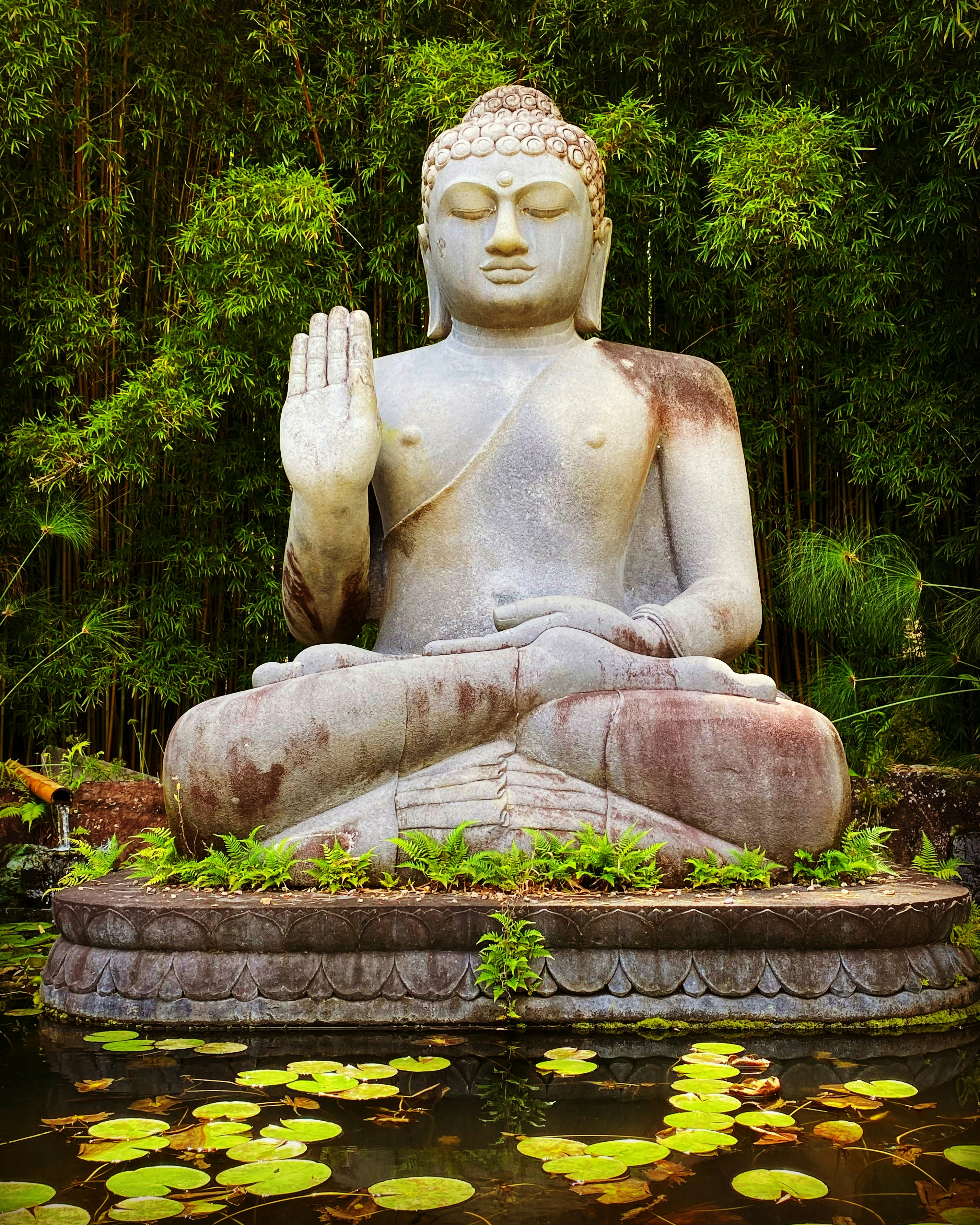 Photo by civic_prints