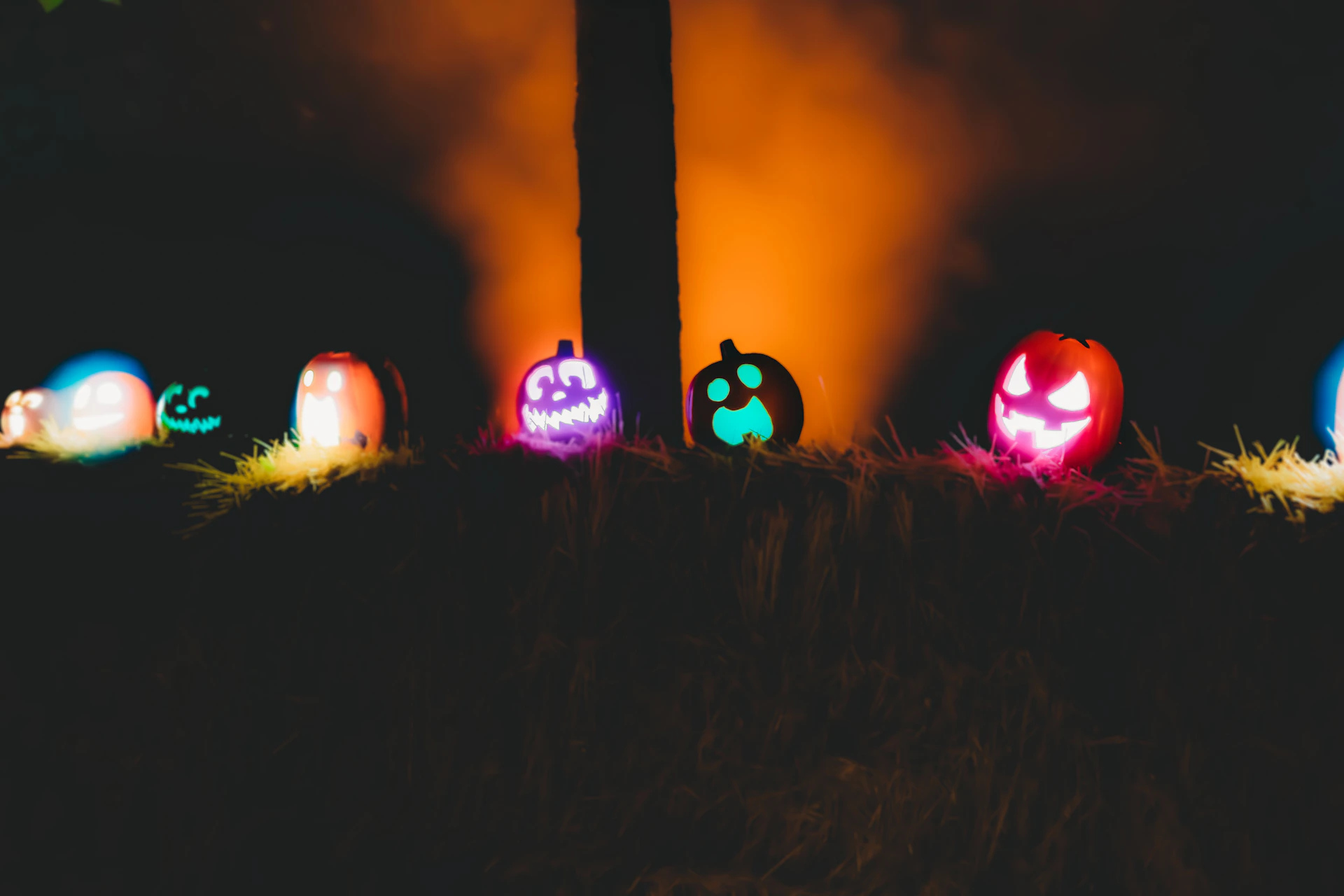 a group of jack-o-lanterns in the dark