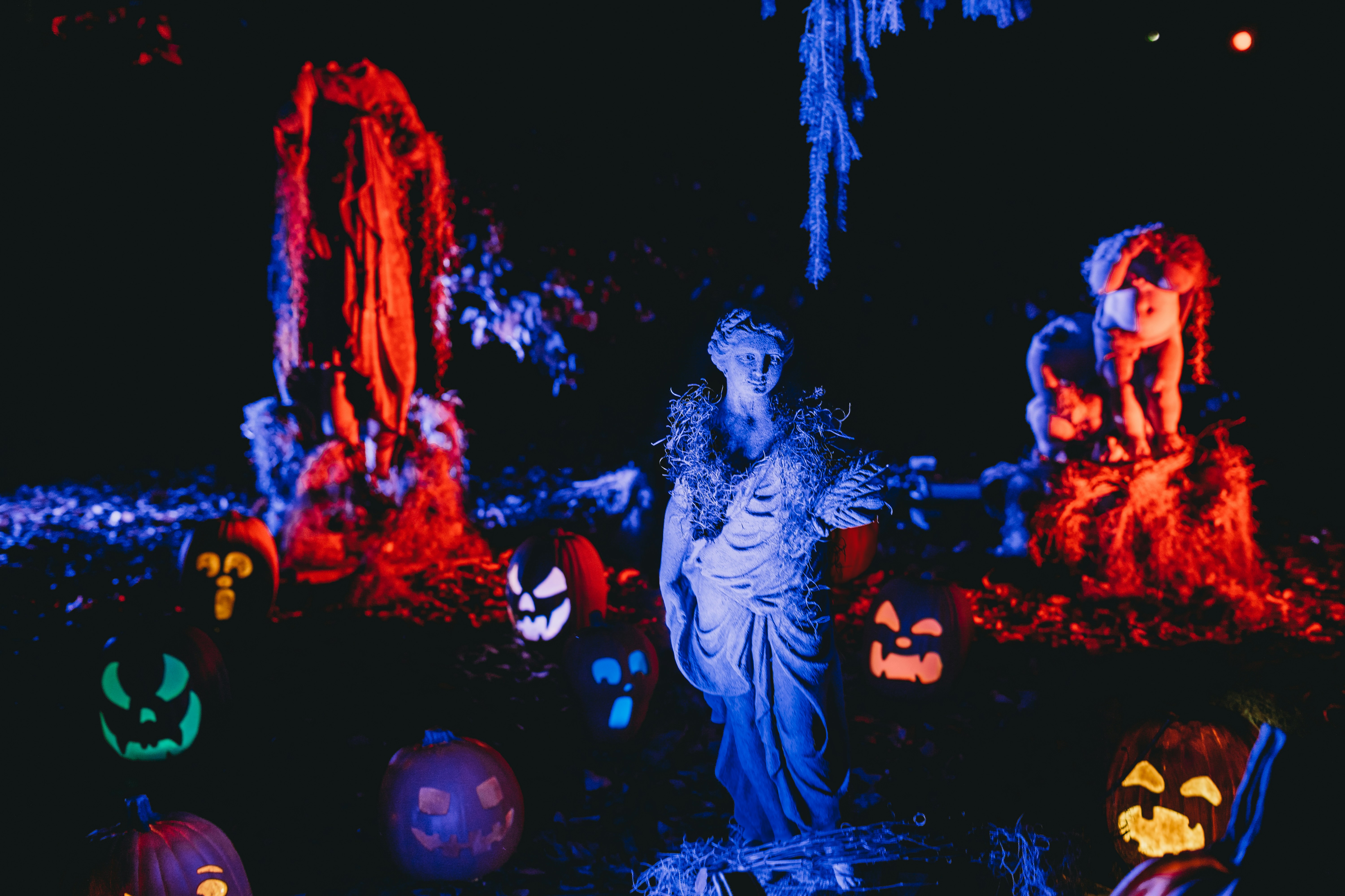 Photo by stevenvanelk