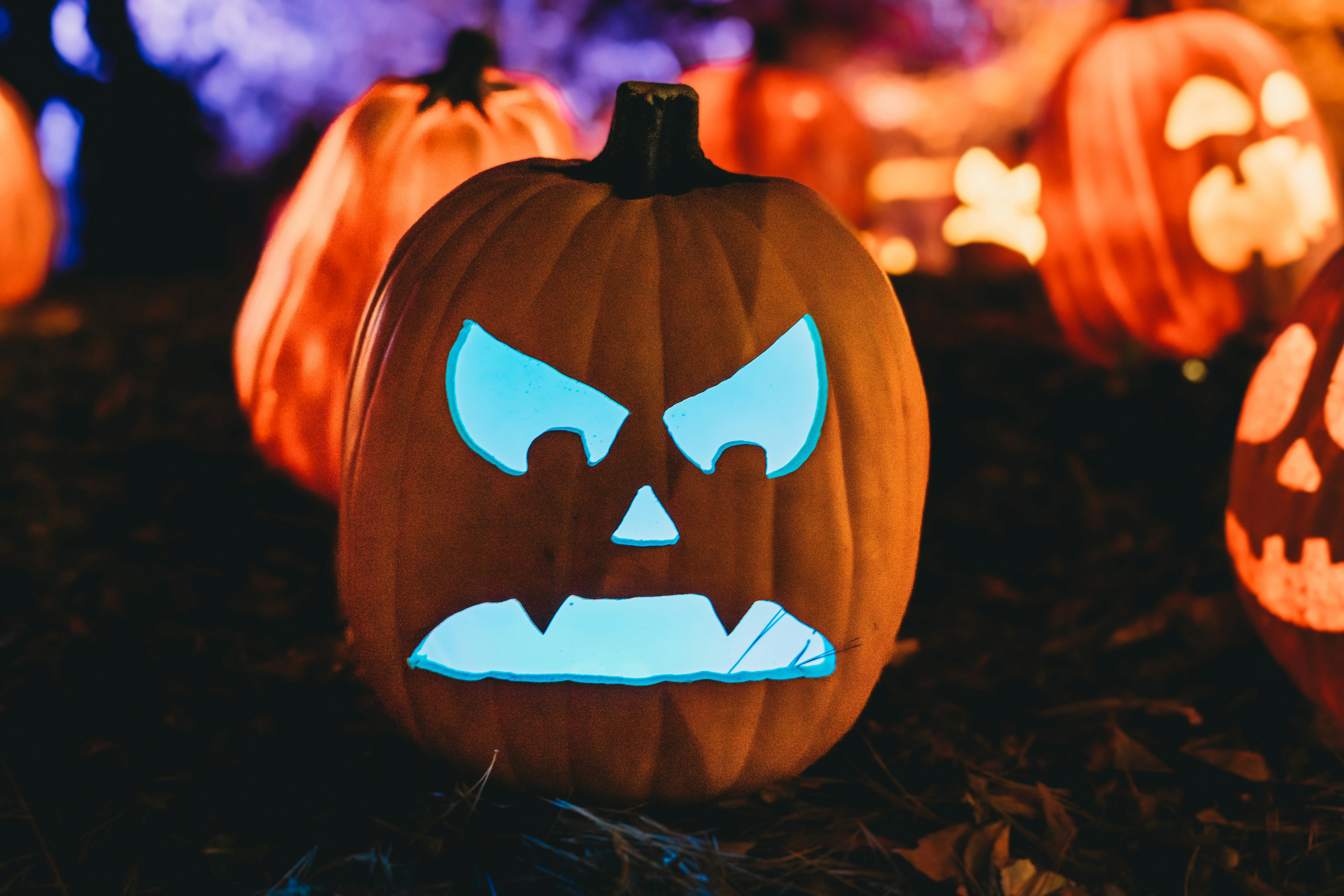 Photo by stevenvanelk