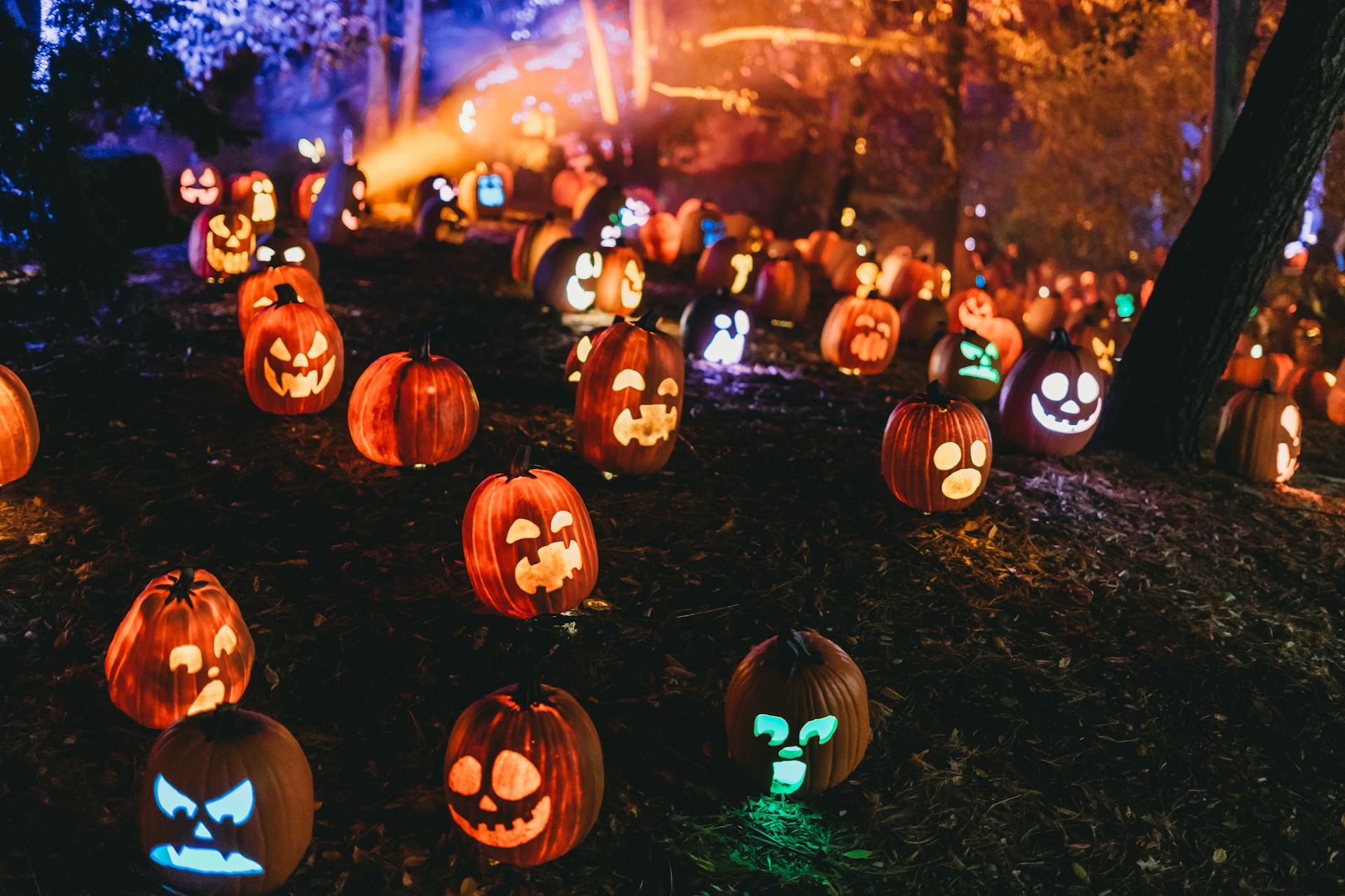 a group of pumpkins with lights