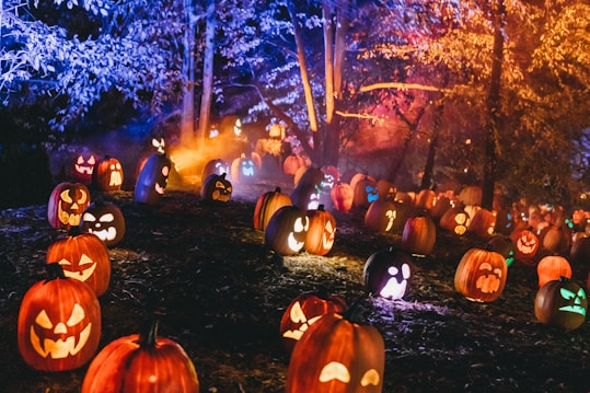 a group of people in a pumpkin patch