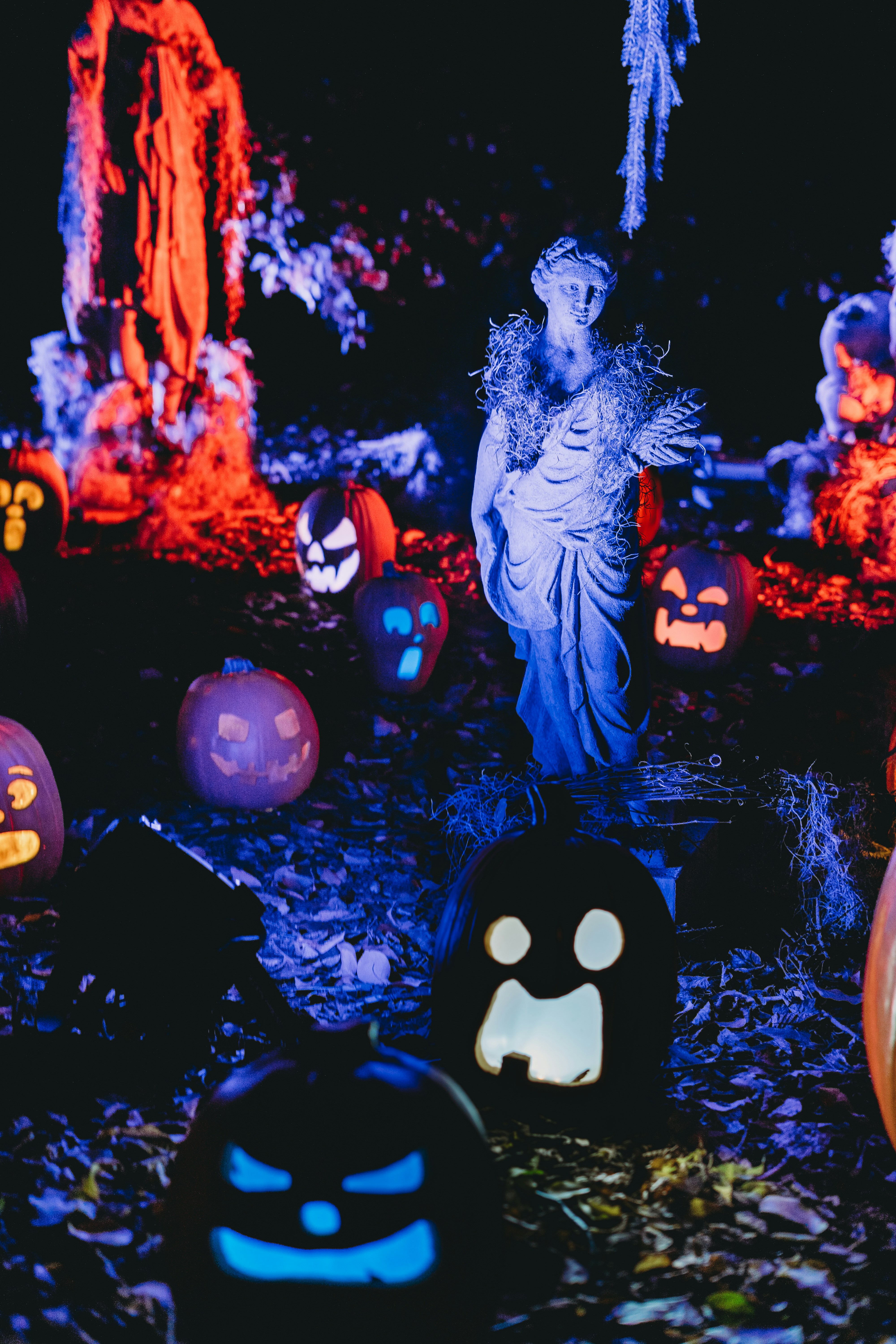 Photo by stevenvanelk