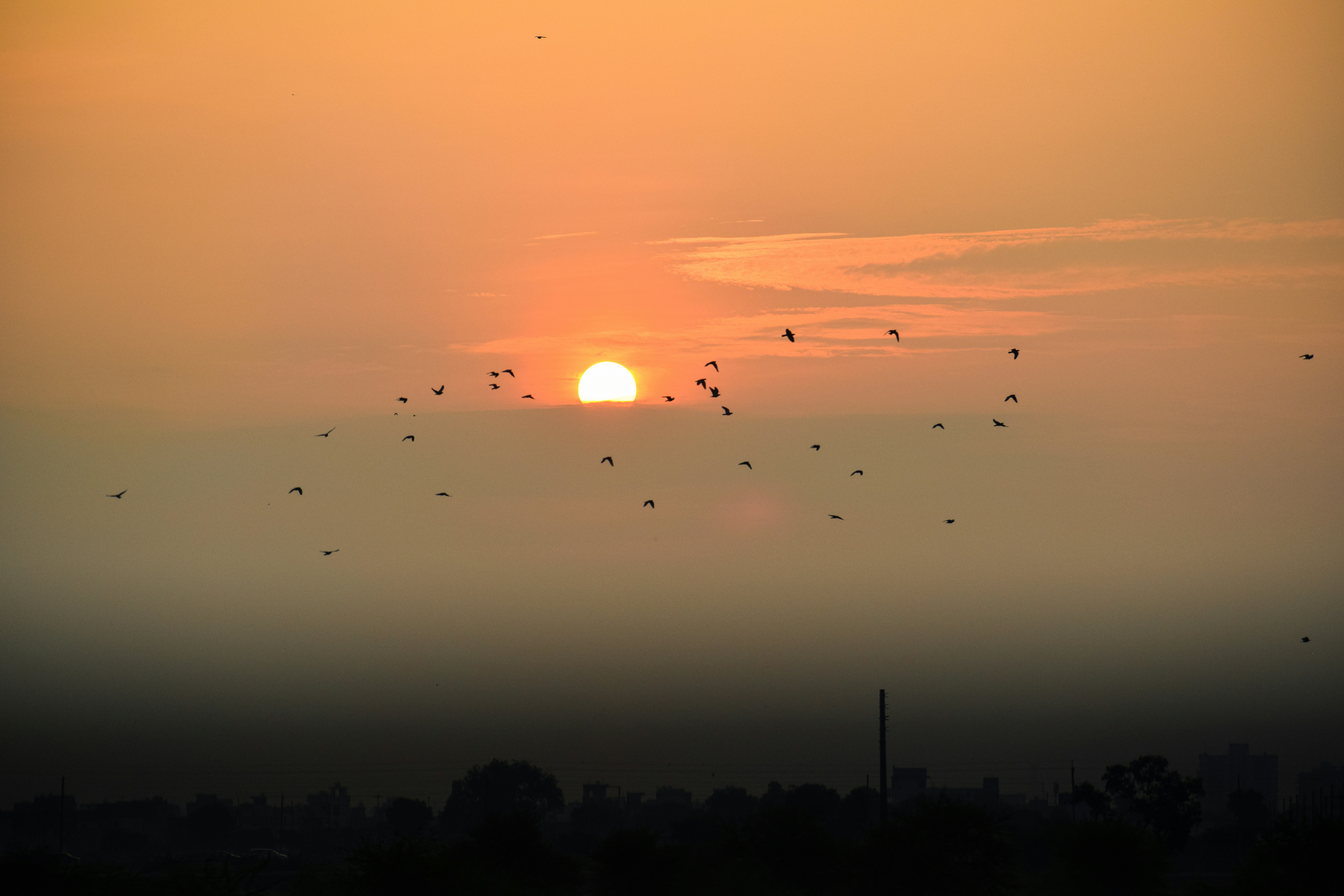 Photo by socialthadi