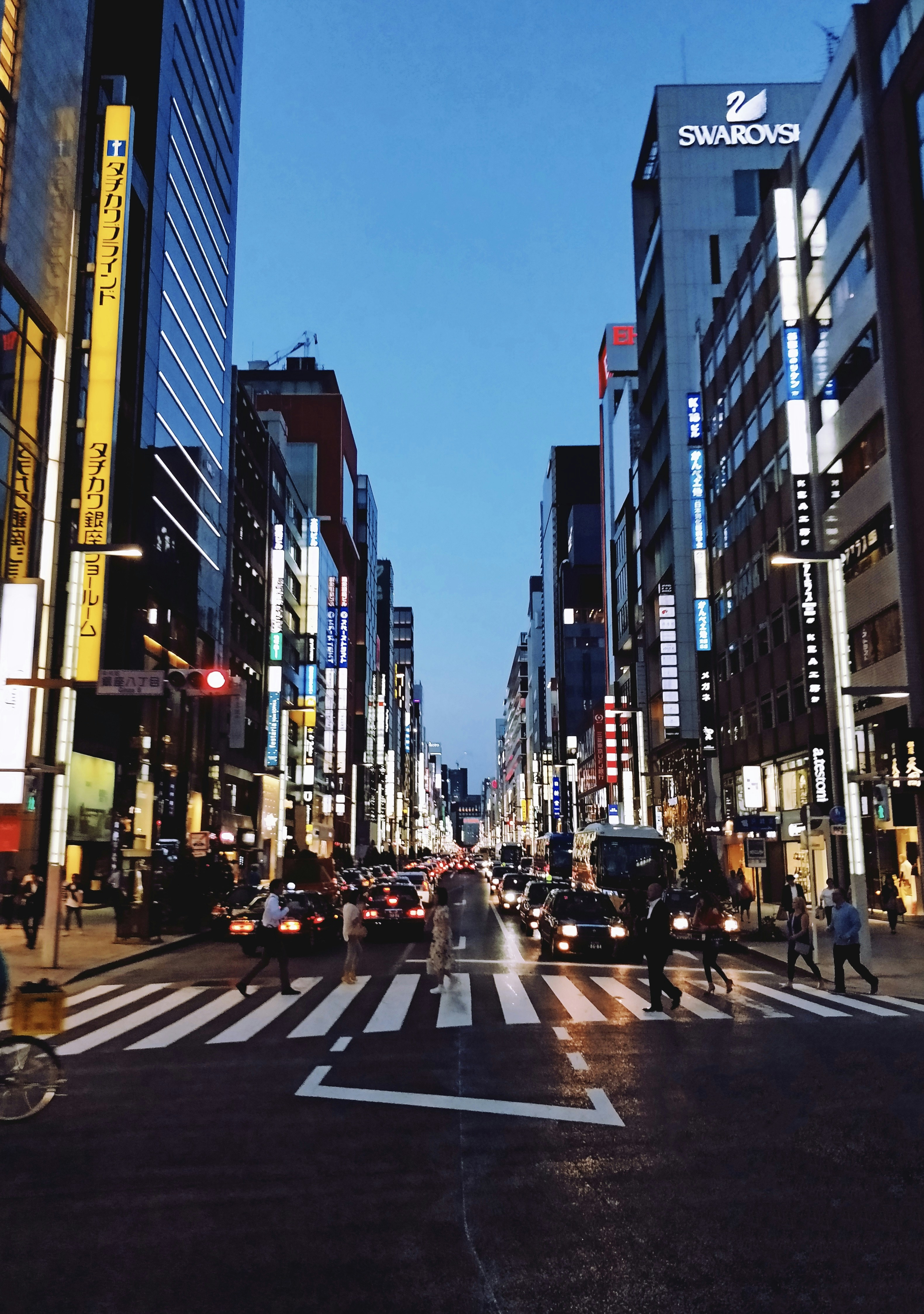 Photo by reis1423523