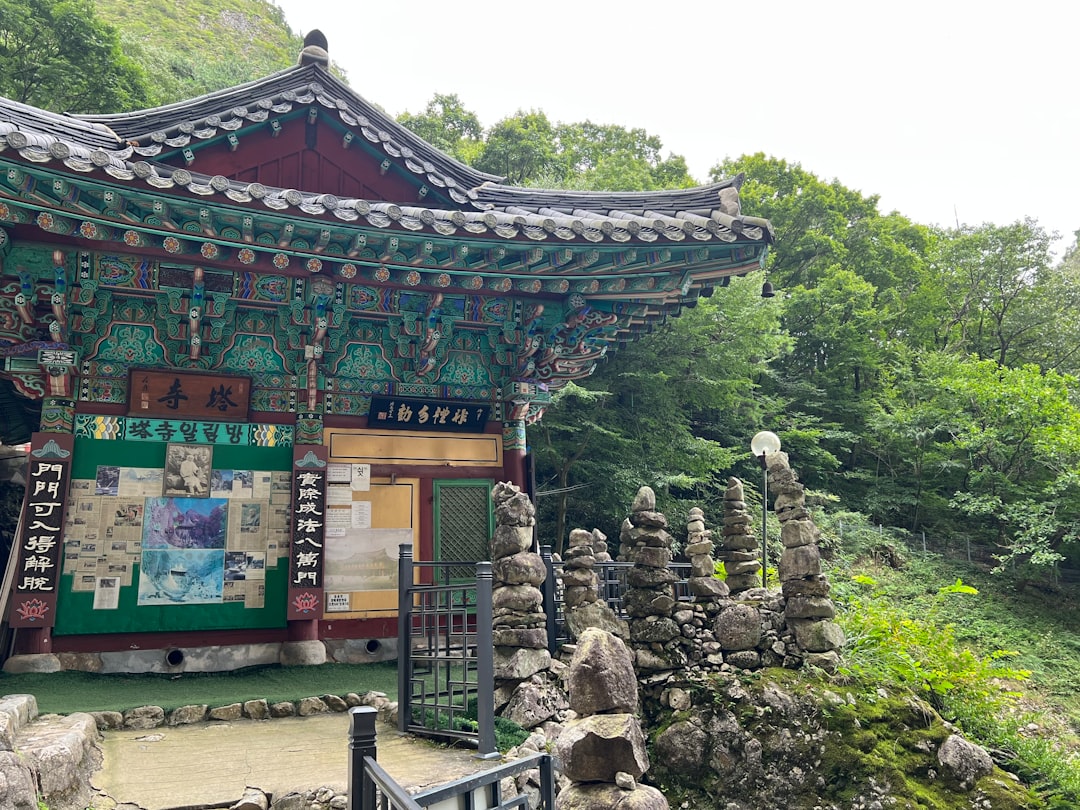 관련 이미지