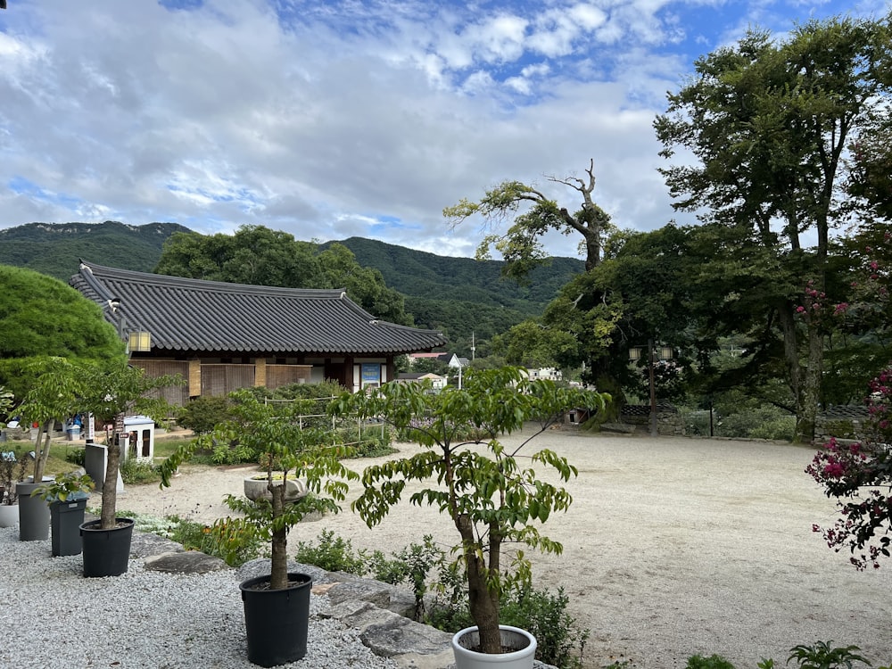 une maison avec des arbres et des plantes devant elle