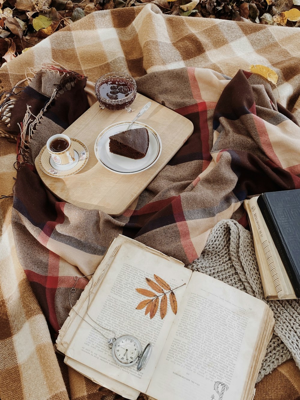 a book and a plate of food on a bed