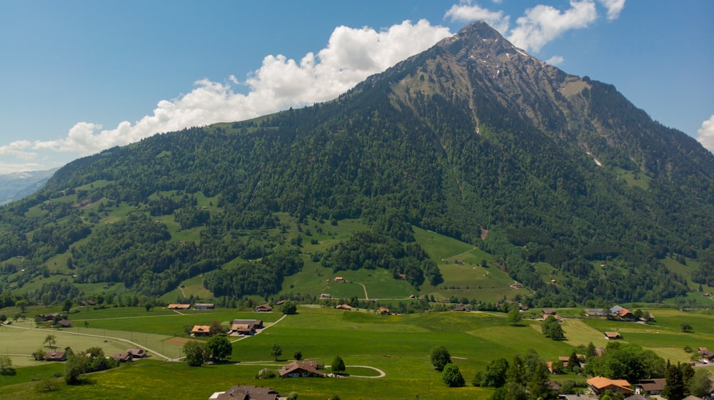 a valley with houses and trees