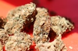 Close-up of several cannabis buds with detailed textures, displaying shades of green, brown, and orange.