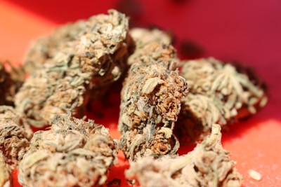 Close-up of several cannabis buds with detailed textures, displaying shades of green, brown, and orange.
