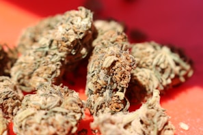 Close-up of several cannabis buds with detailed textures, displaying shades of green, brown, and orange.