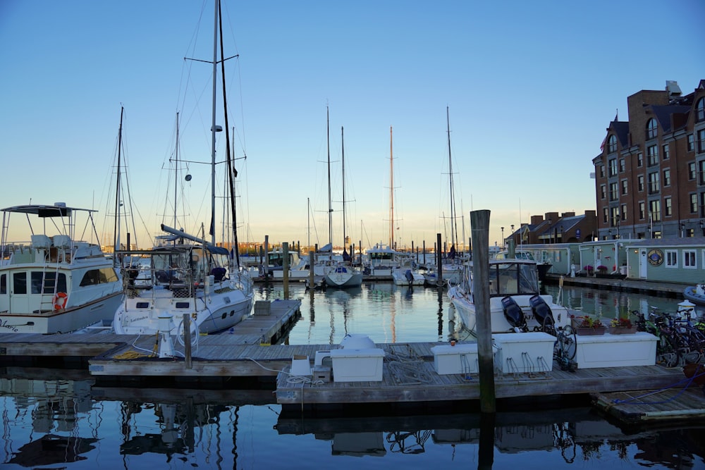 a group of boats docked