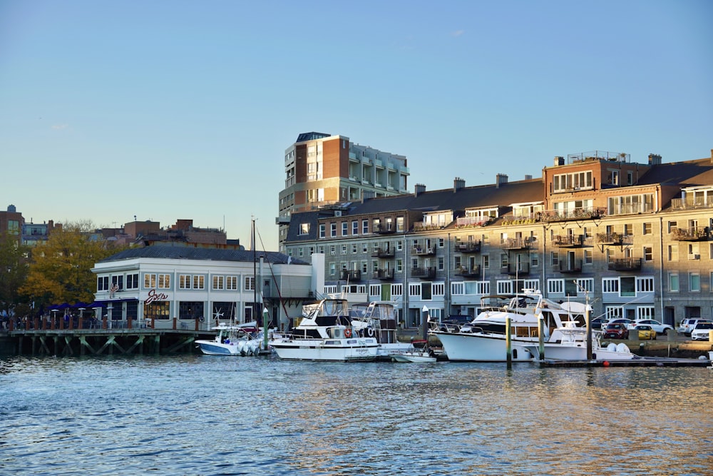 boats in the water