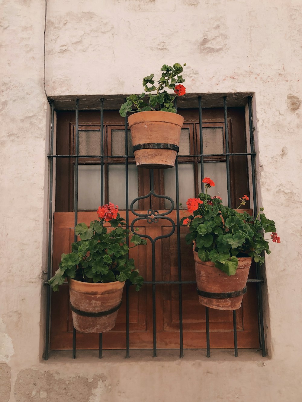 a group of potted plants on a balcony