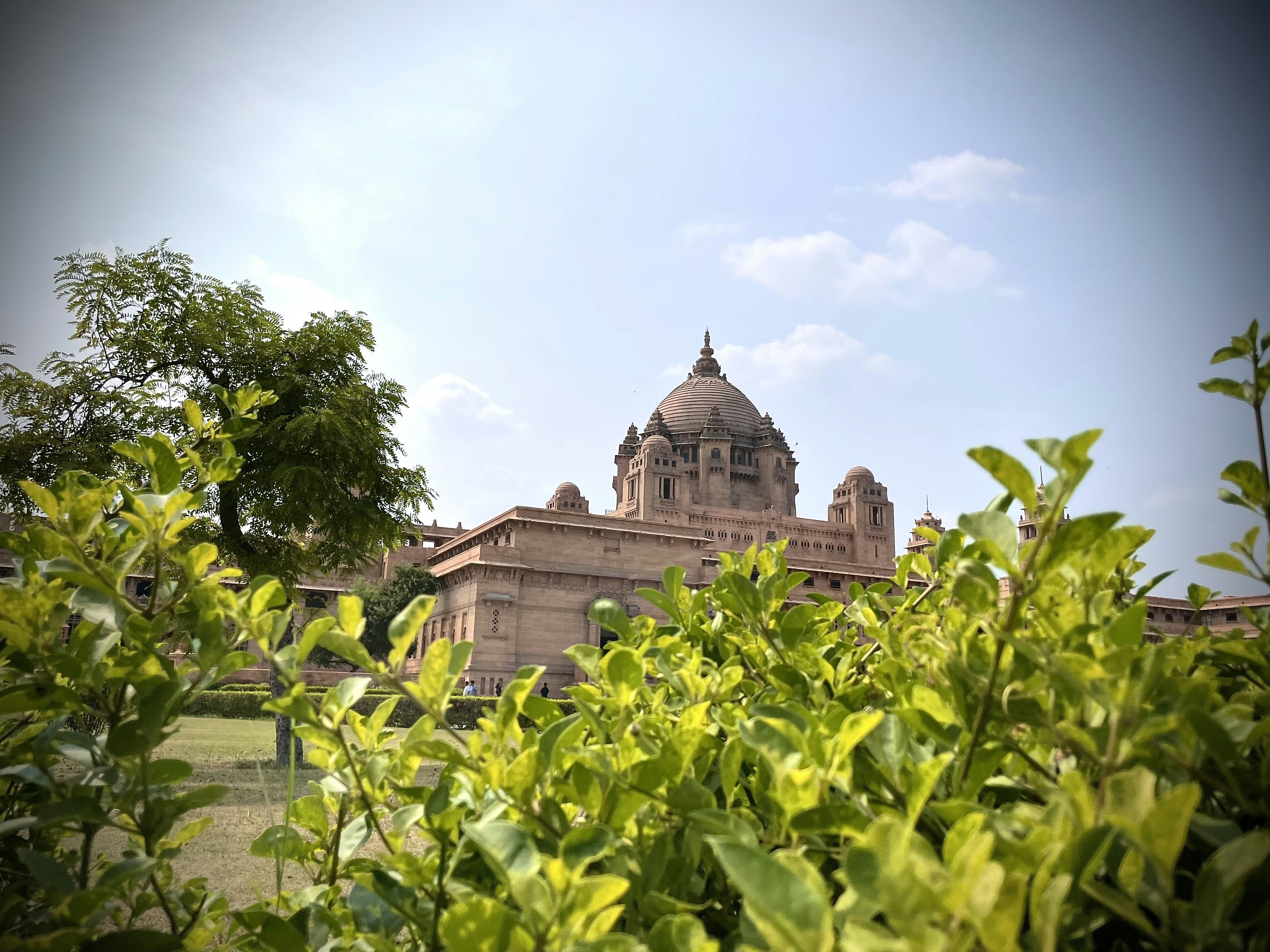 a building with a dome and trees in front of it