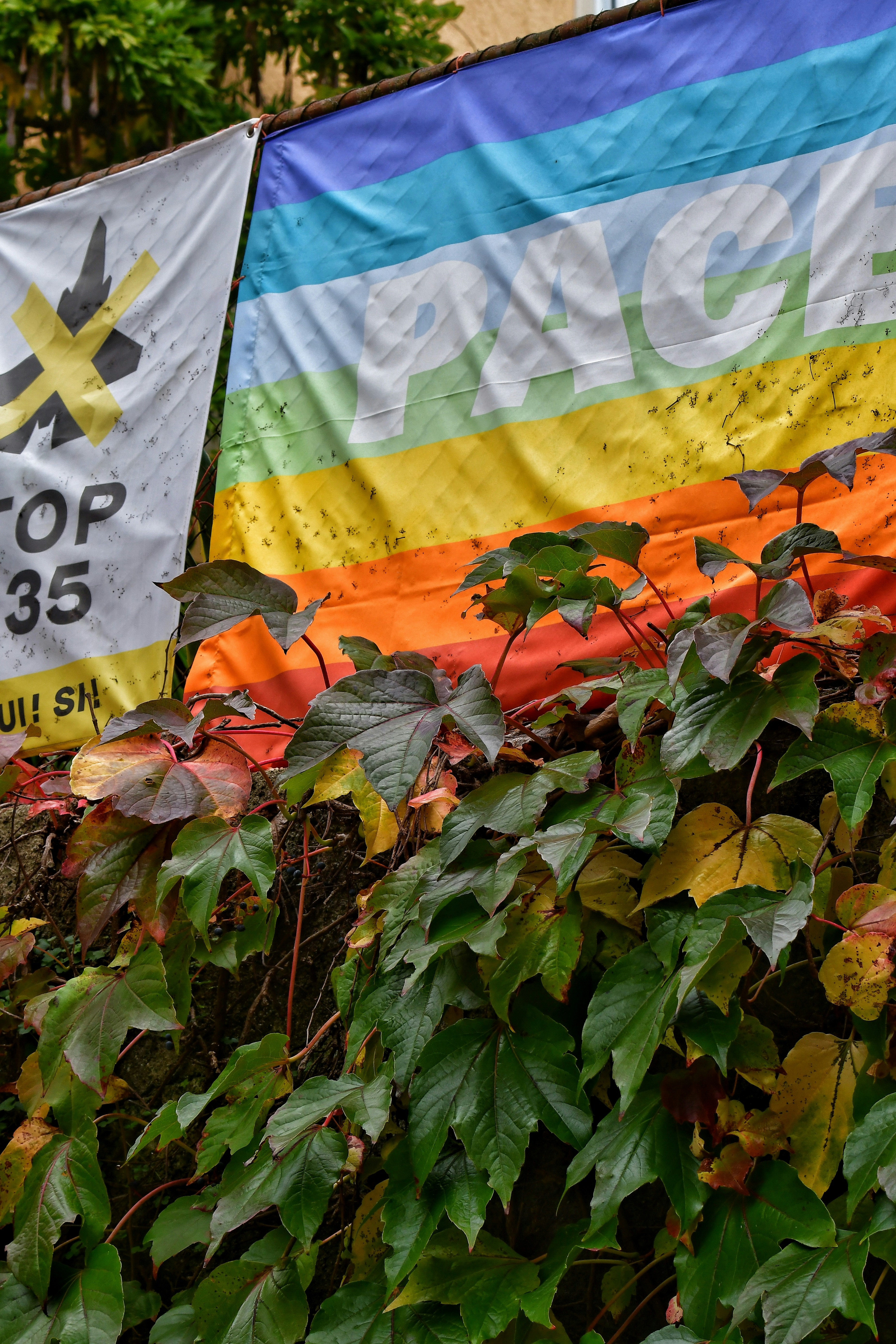 A group of colorful flags photo – Free Zürich Image on Unsplash