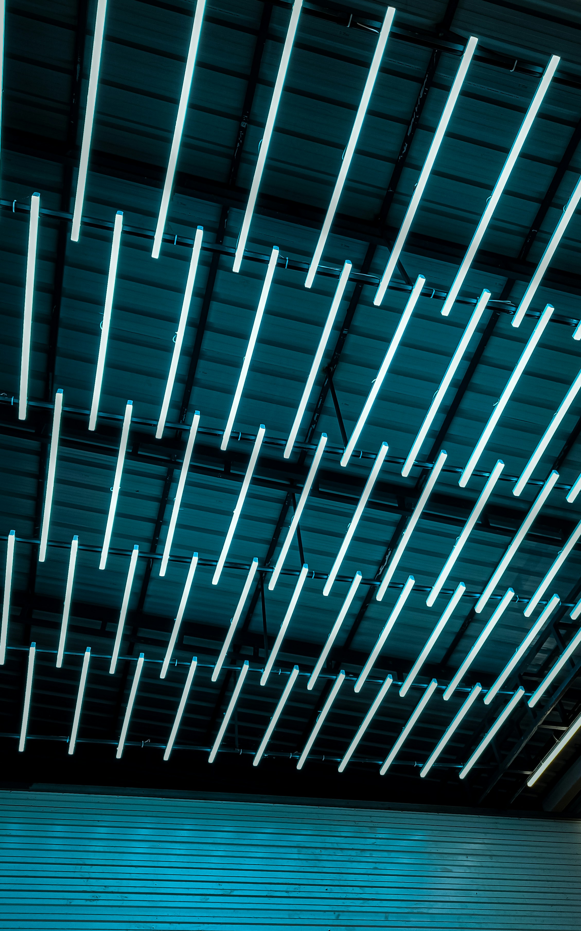 Photo by design_grader