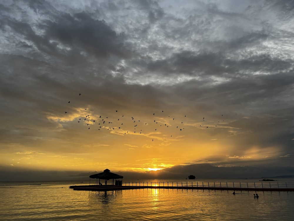 a group of birds fly over a pier