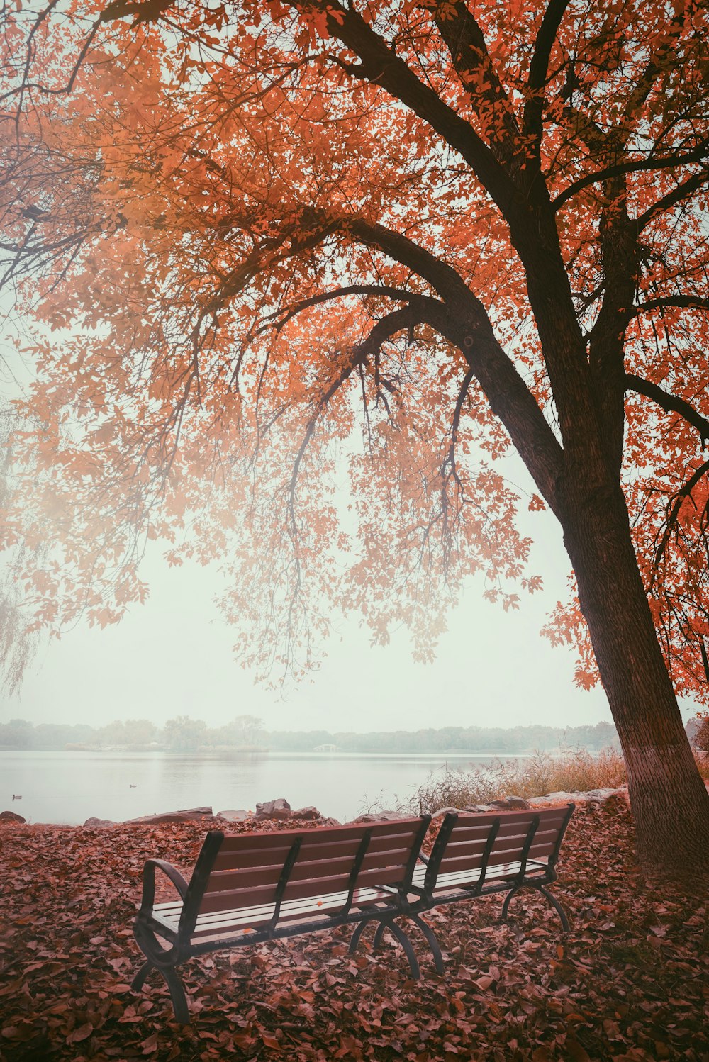 a couple of benches sit by a lake