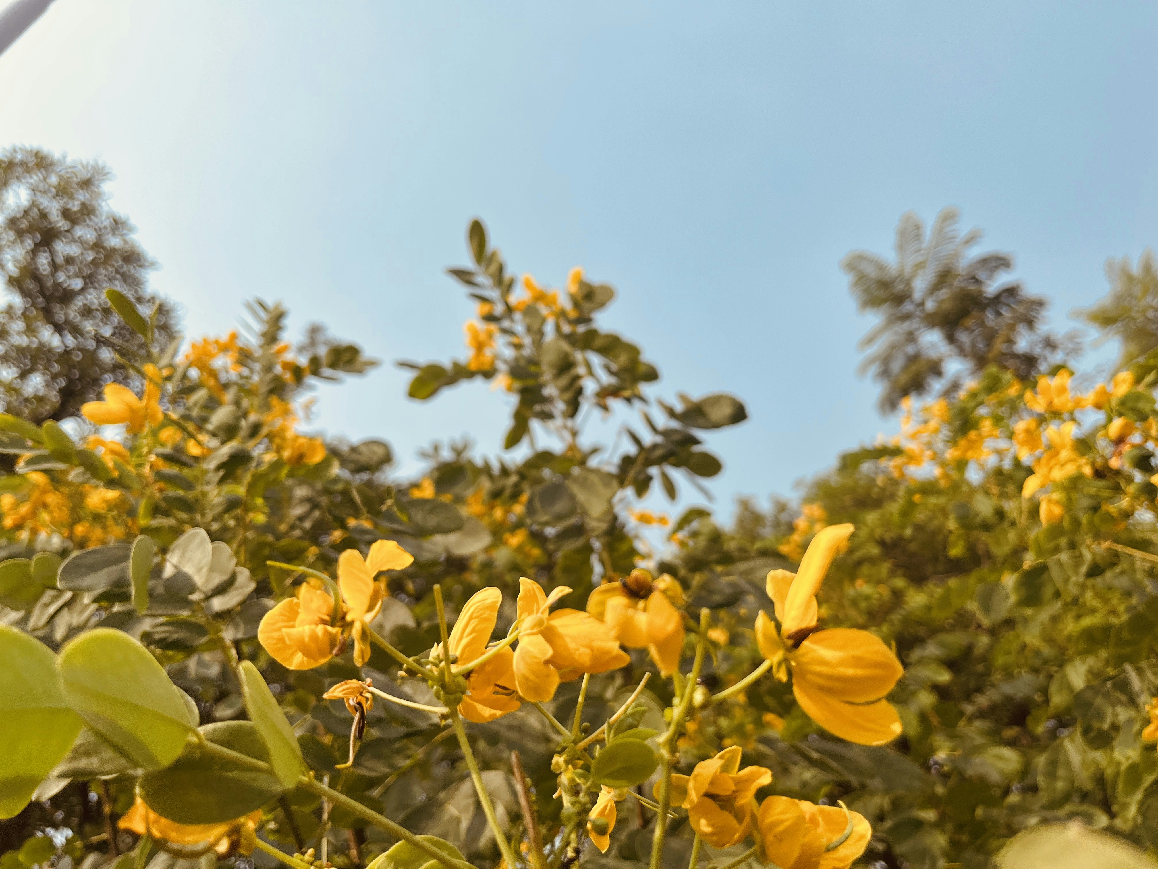 Photo by samridhis25