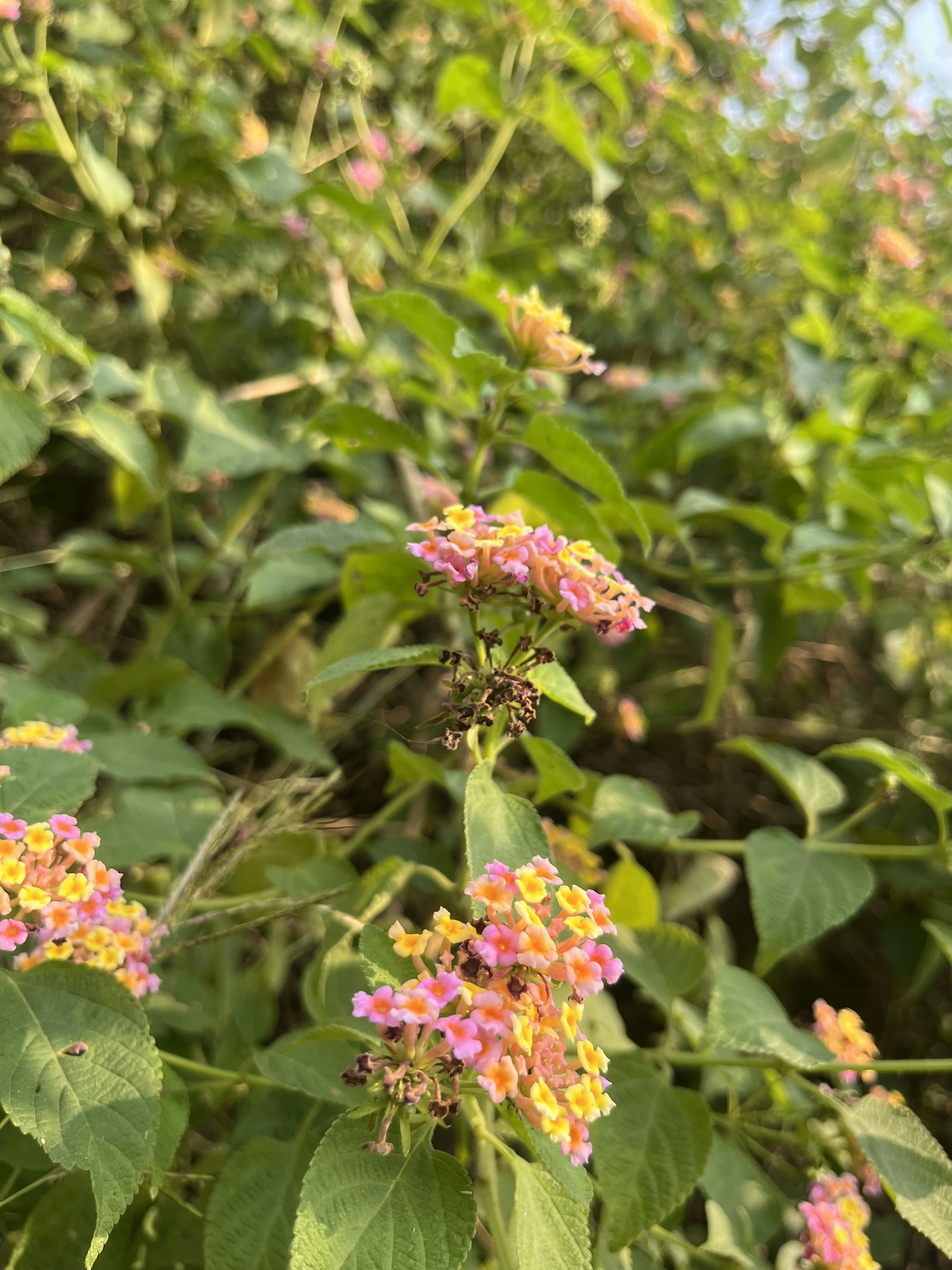 Photo by samridhis25