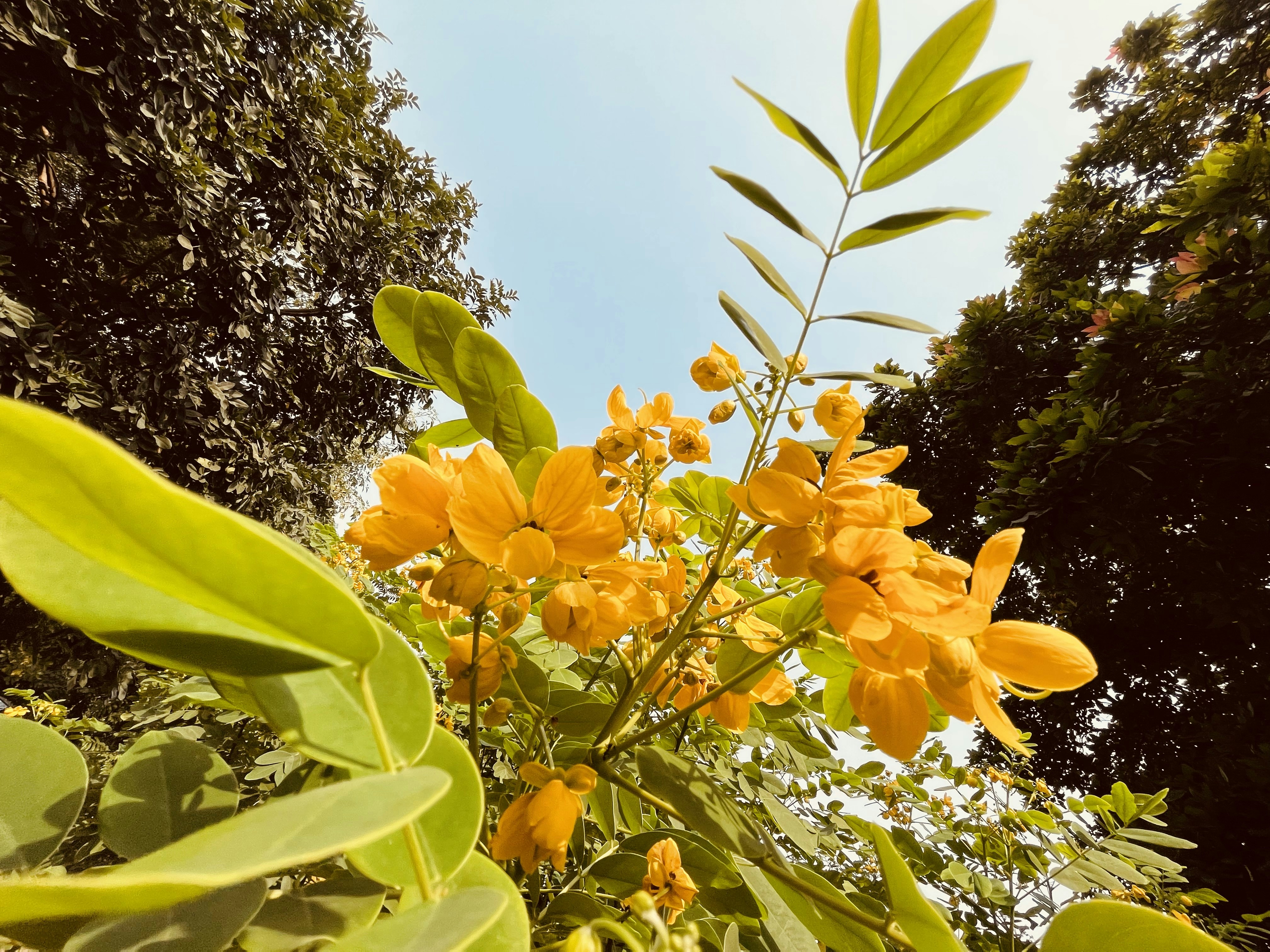 Photo by samridhis25