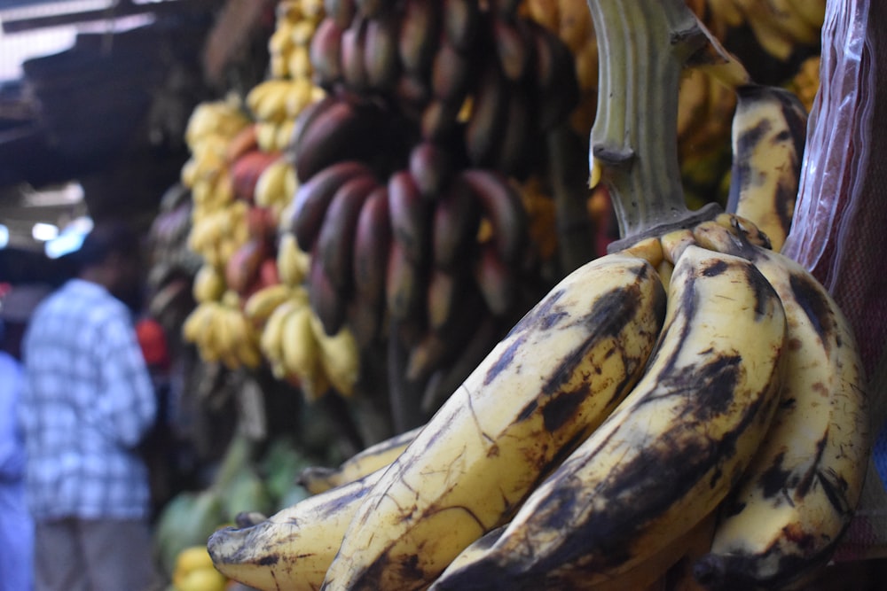 a bunch of bananas from a string