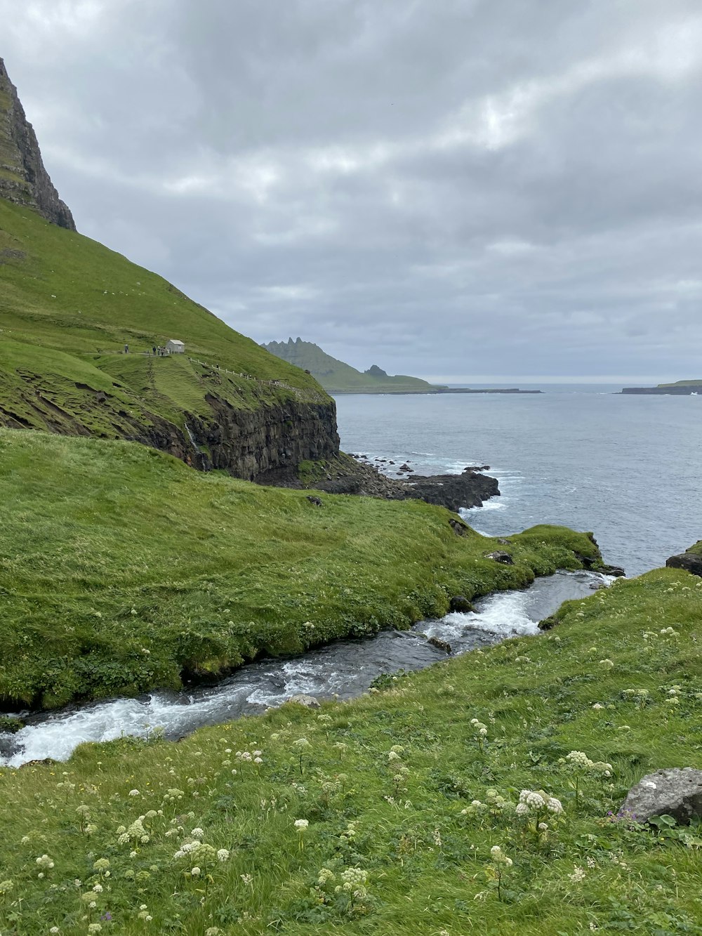 a grassy hillside with a body of water in the background