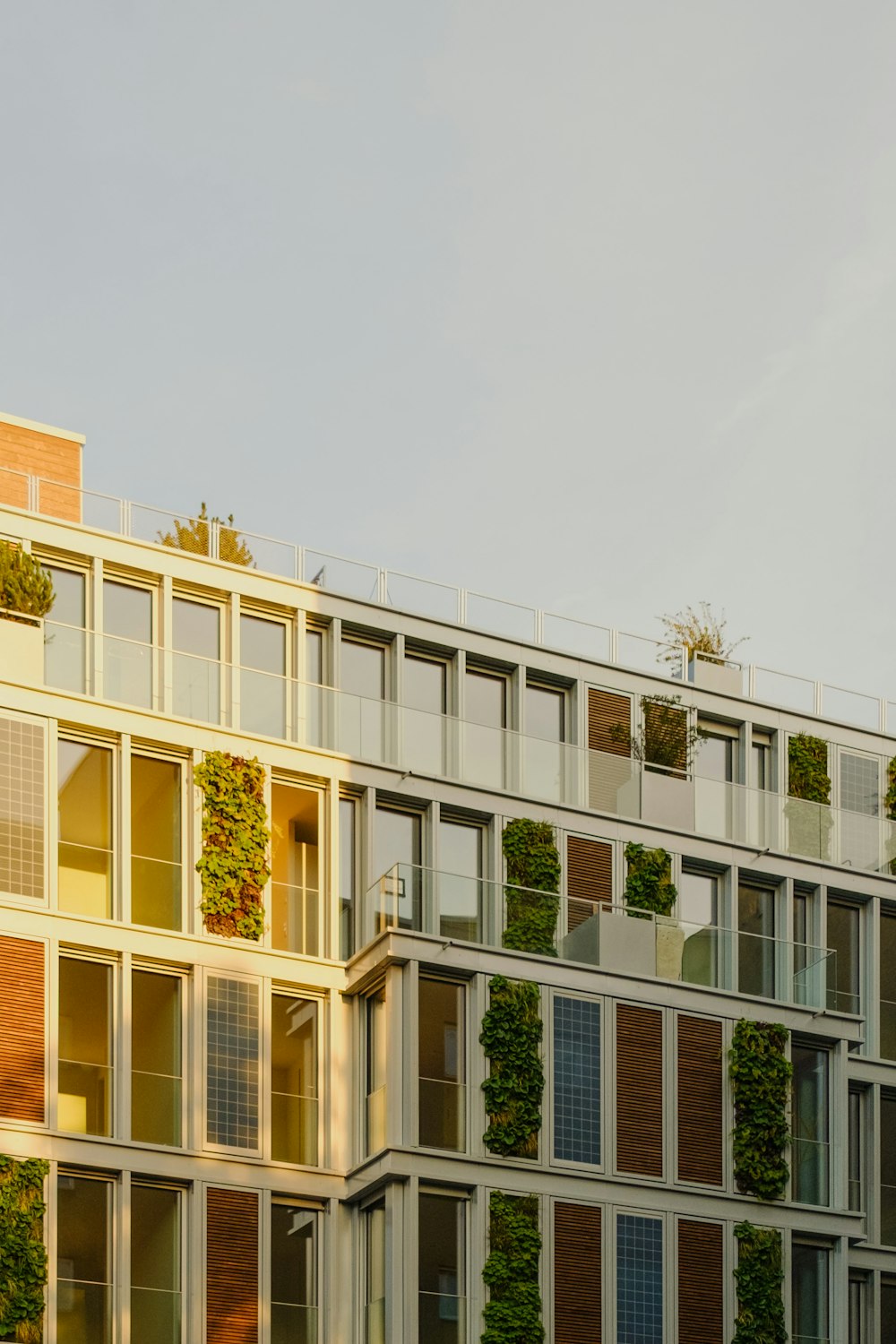 a building with many windows